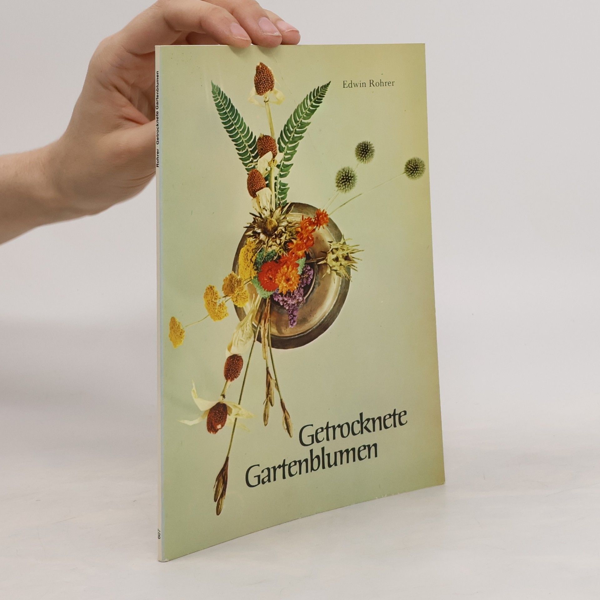 Edwin Rohrer Getrocknete Gartenblumen