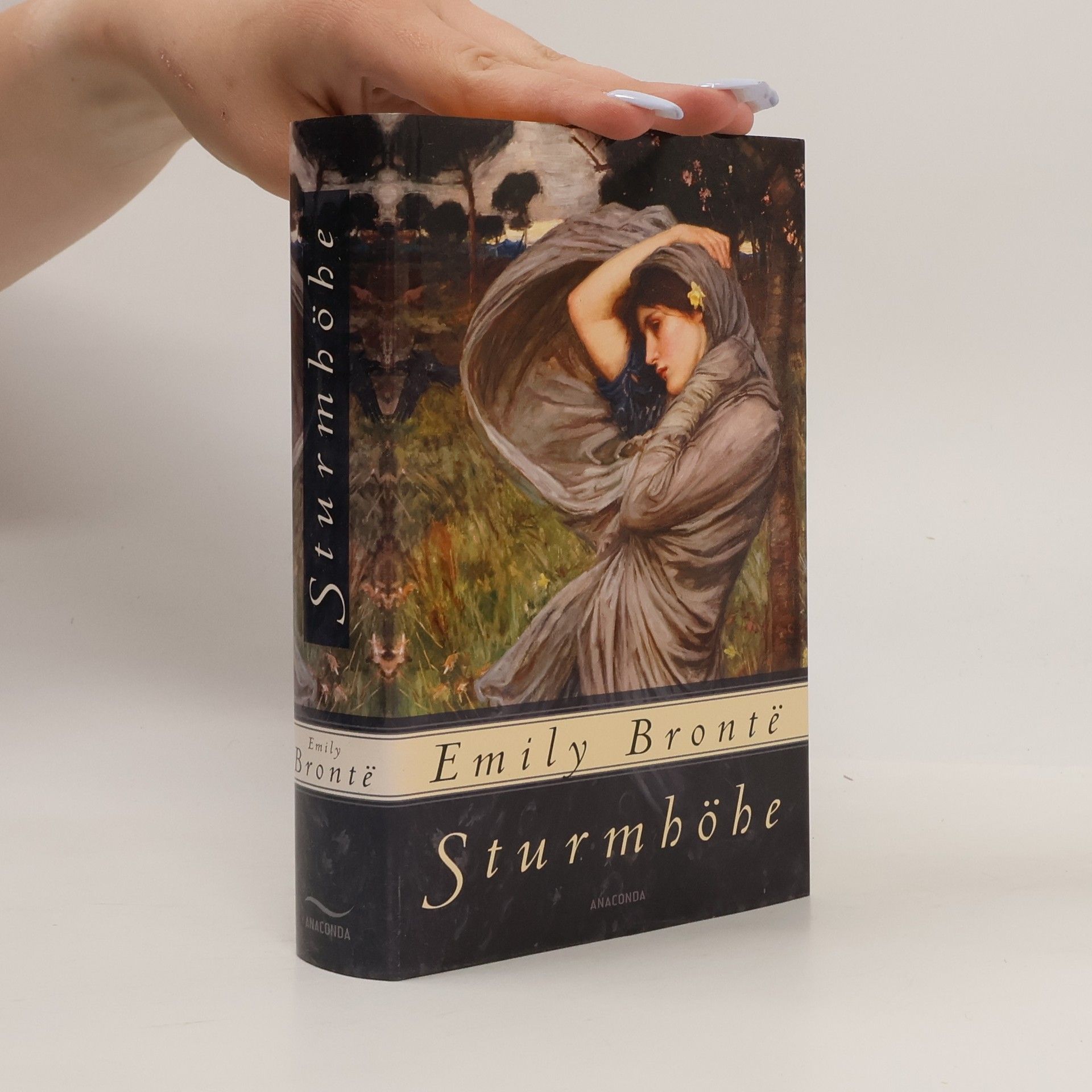 Emily Brontë Sturmhöhe