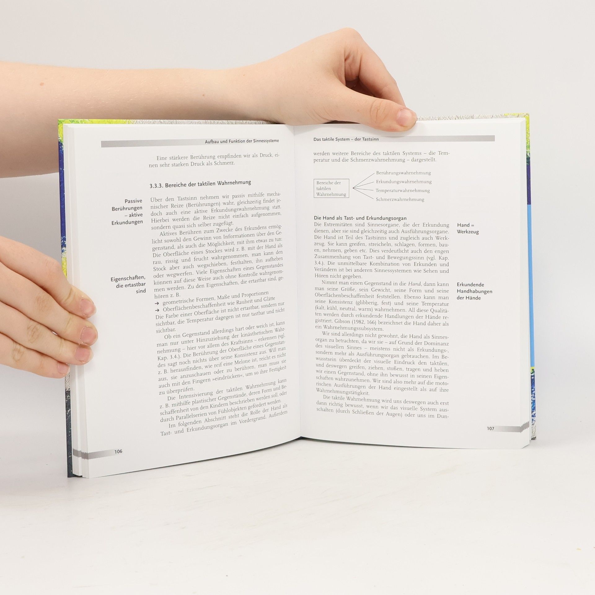 Renate Zimmer Handbuch der Sinneswahrnehmung