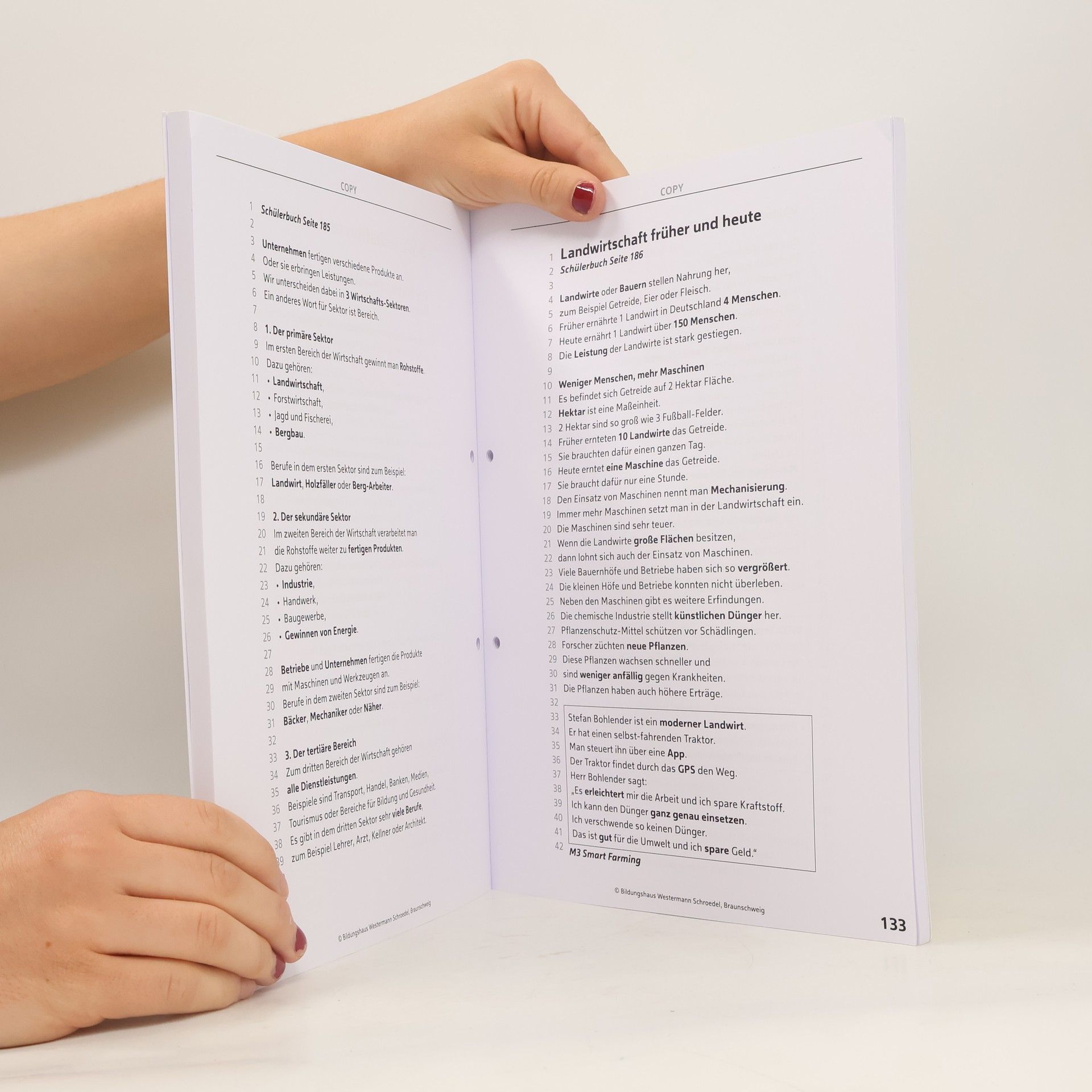 Westermann Schulbuch Trio Gesellschaftslehre 5 / 6. Schulbuchtexte in einfacher Sprache. Für Gesamtschulen in Nordrhein-Westfalen