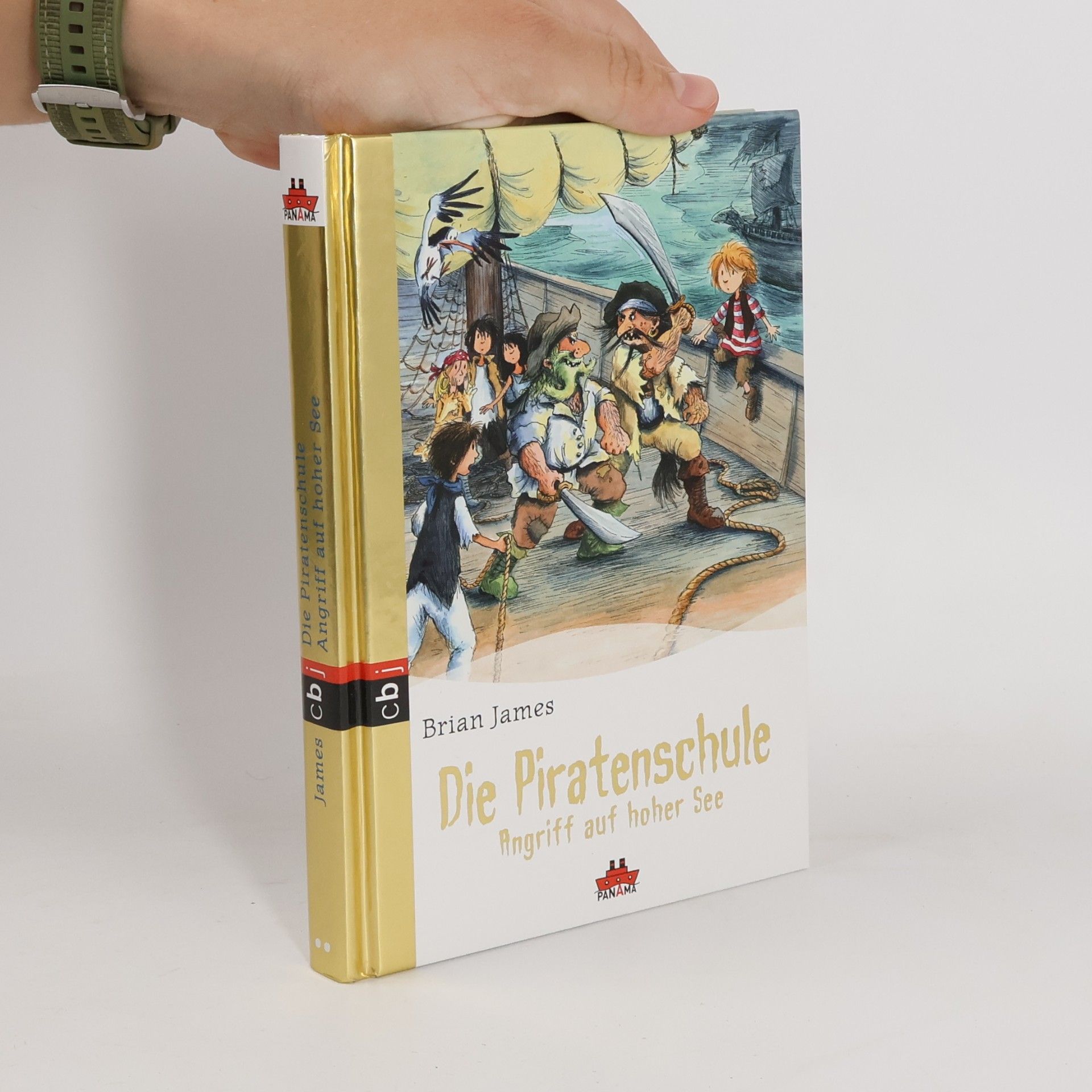 Brian James Die Piratenschule - Angriff auf hoher See