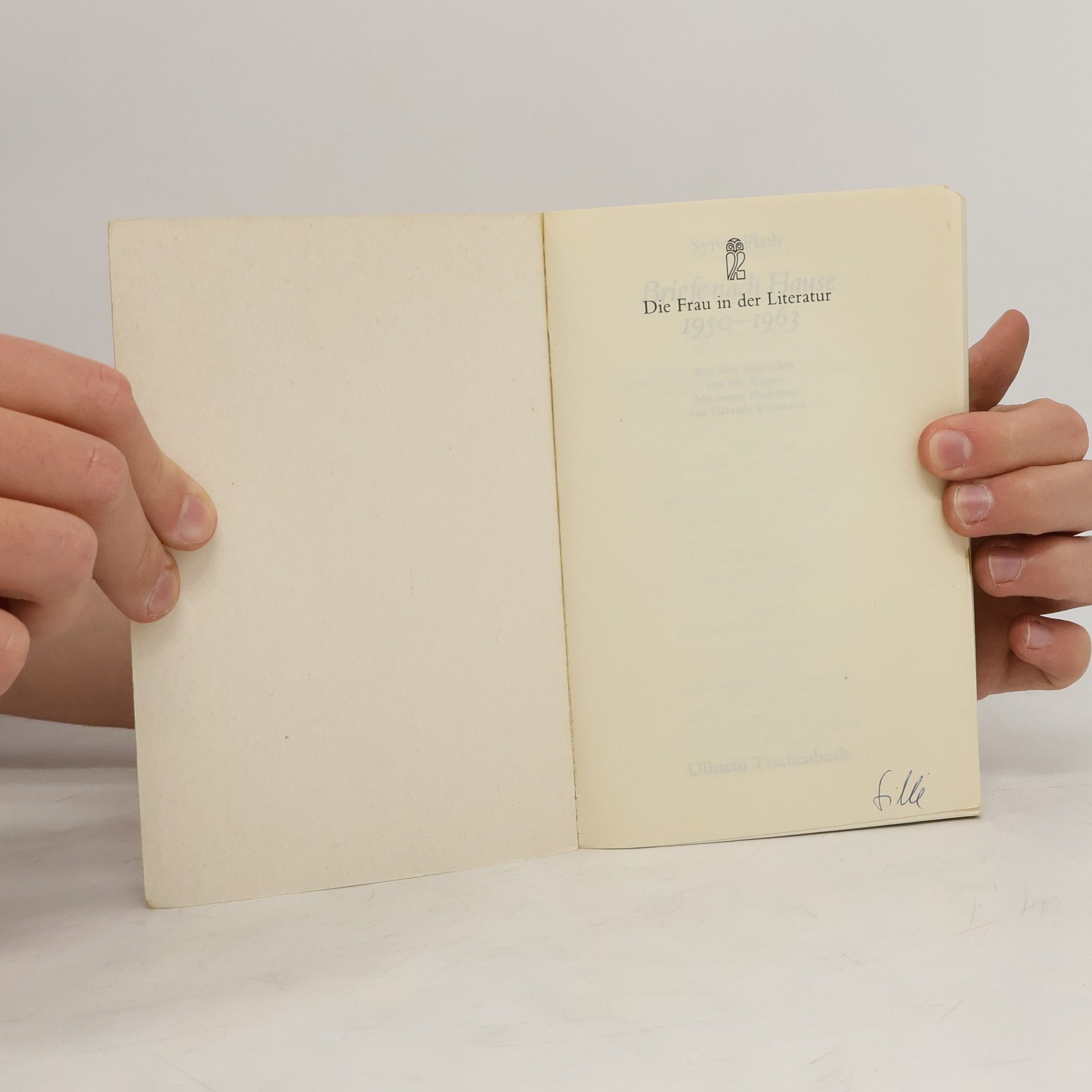 Sylvia Plath Briefe nach Hause