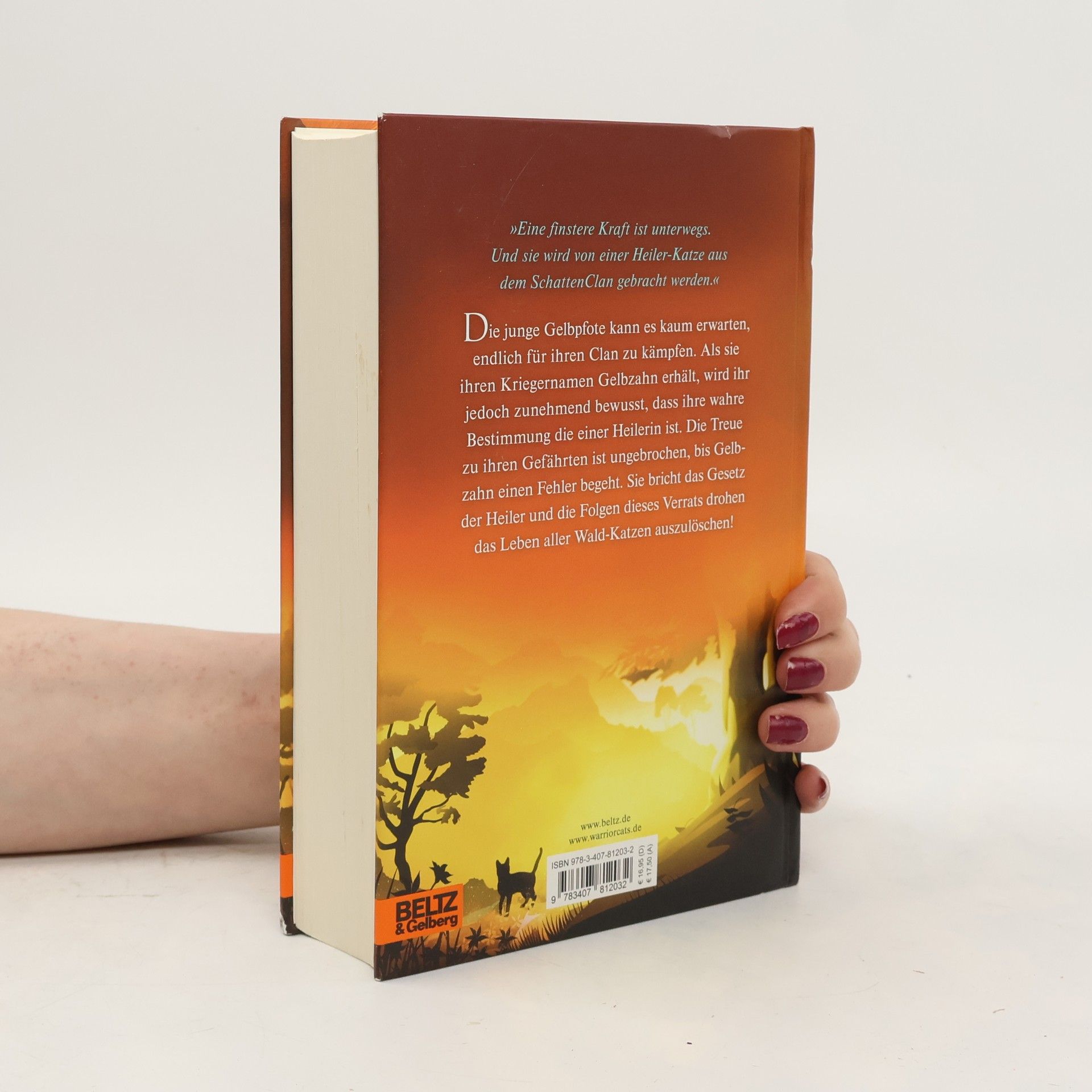 Erin Hunter Gelbzahns Geheimnis