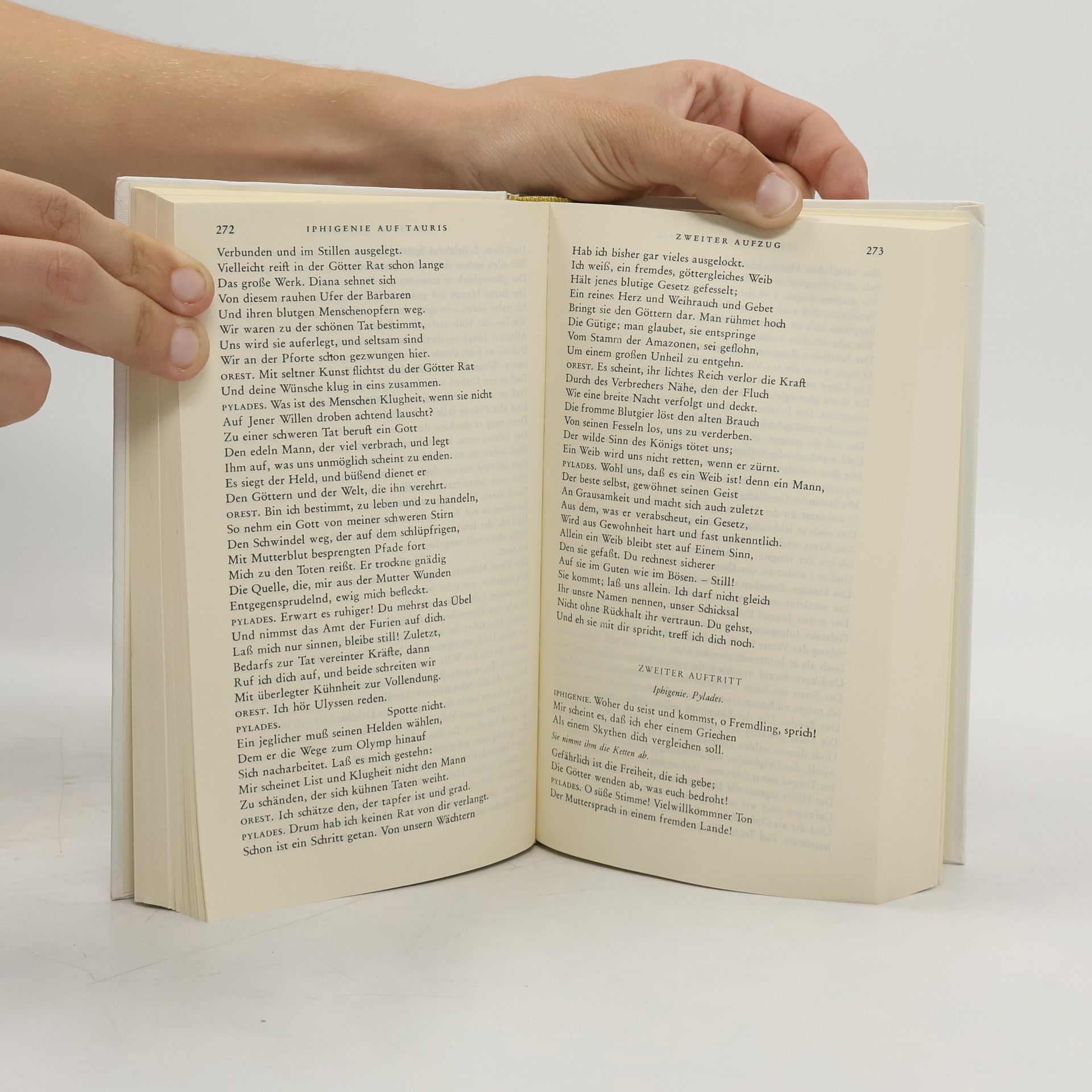 Johann Wolfgang von Goethe Goethe 2