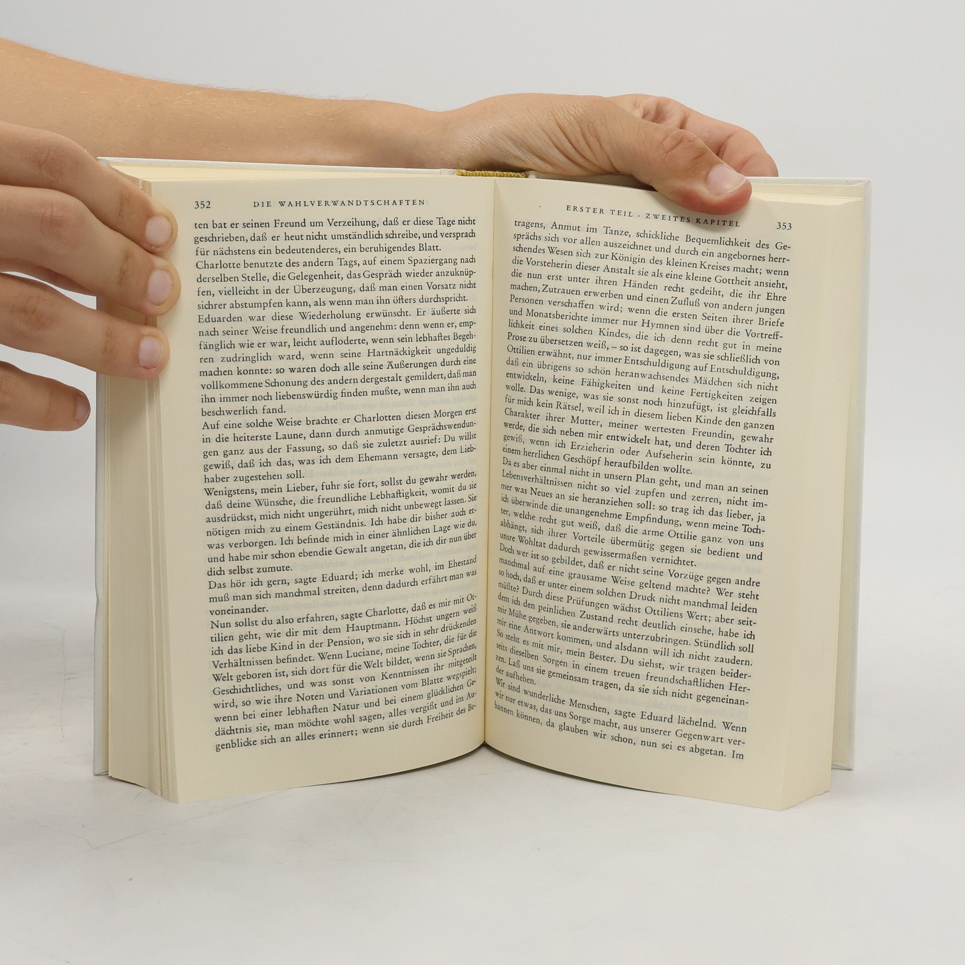 Johann Wolfgang von Goethe Goethe 3