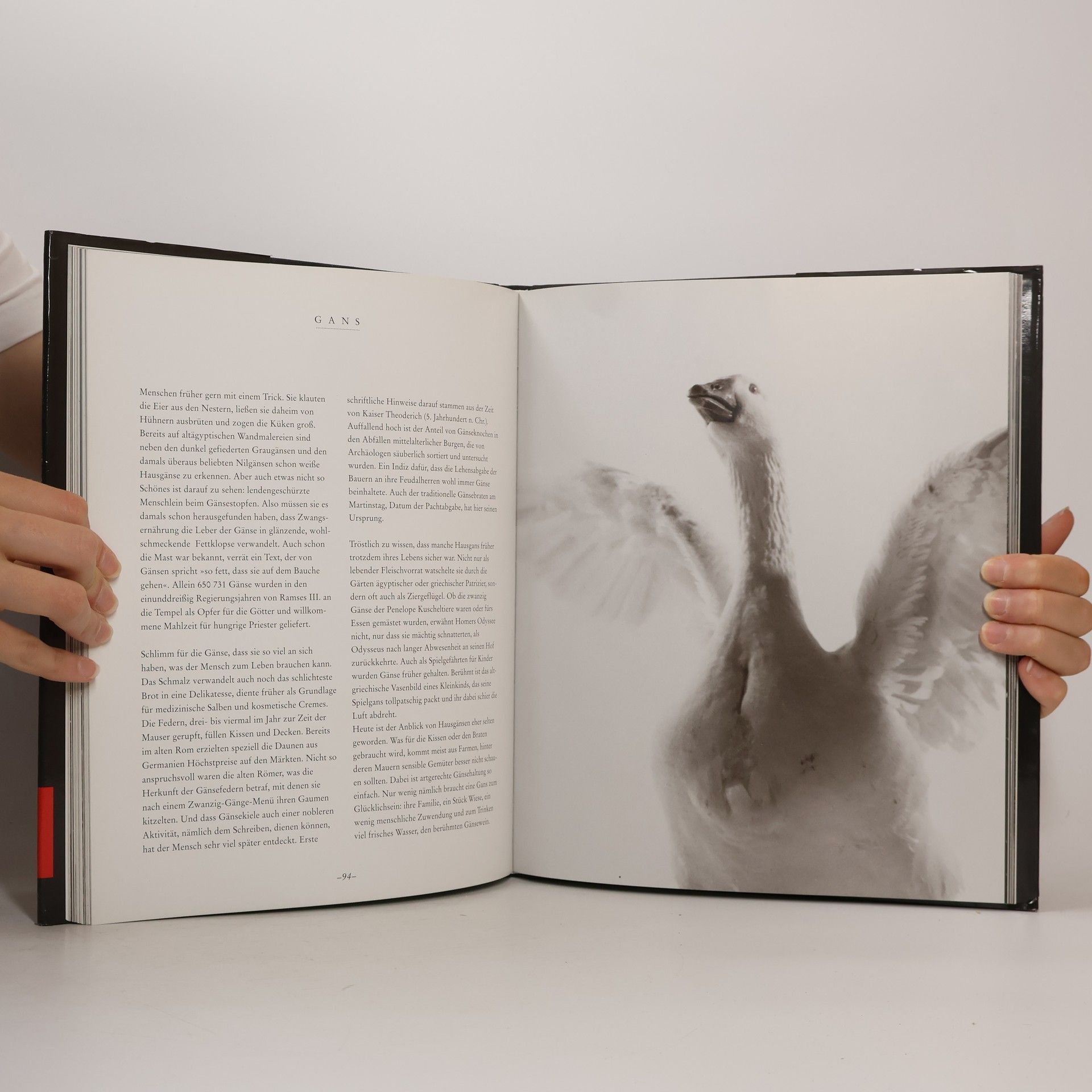 Walter Schels Die Seele der Tiere
