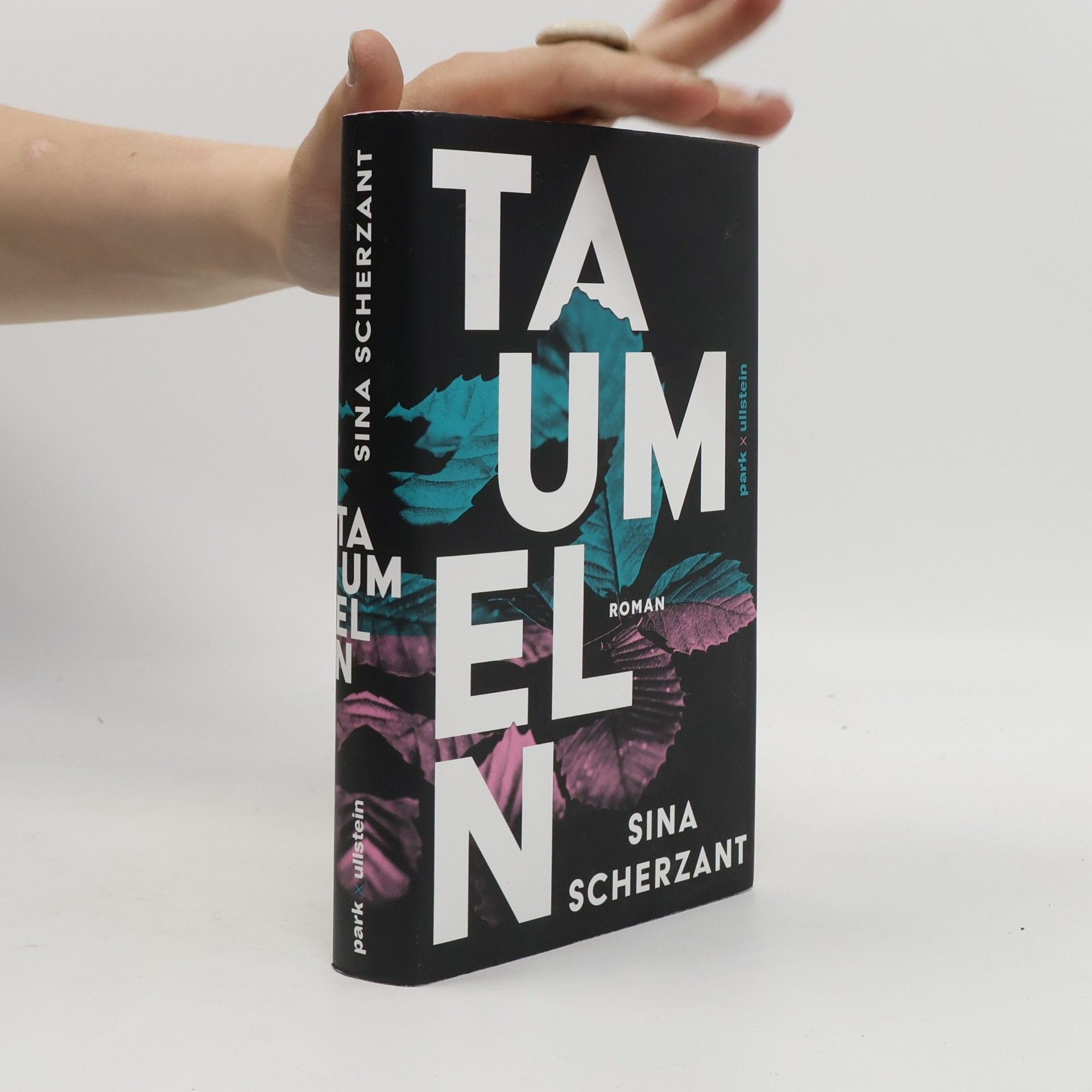 Sina Scherzant Taumeln