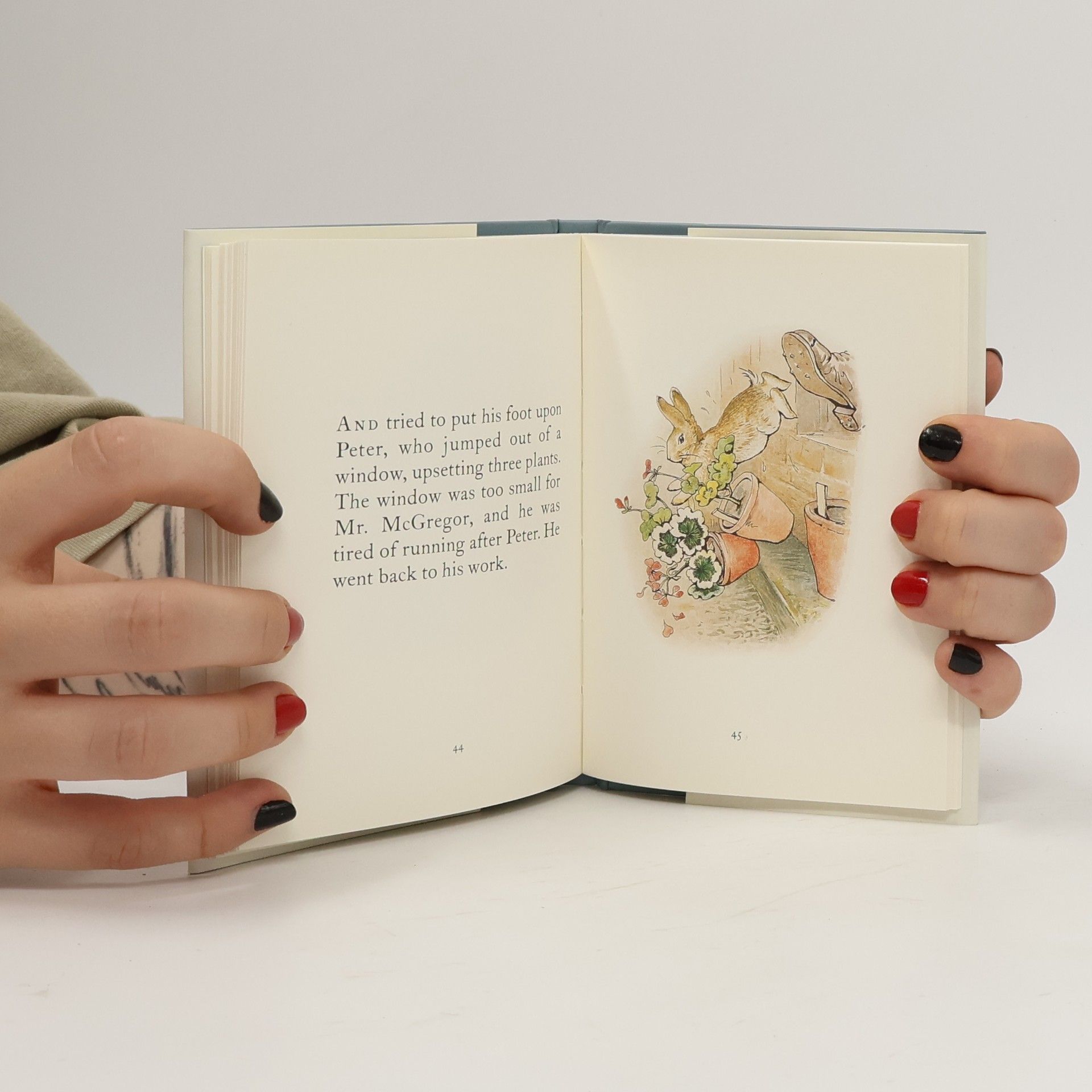 Beatrix Potter The Tale of Peter Rabbit