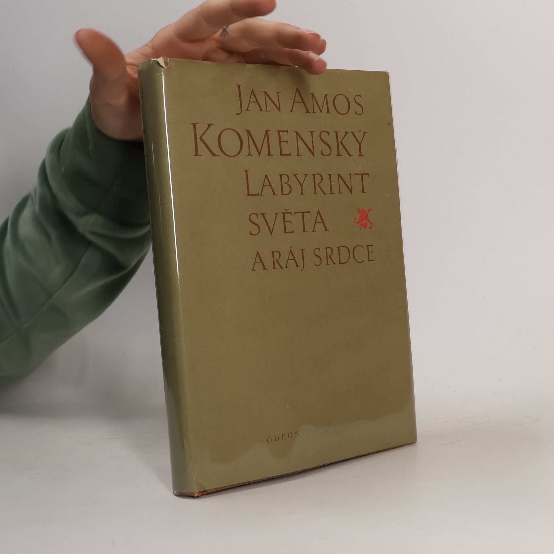 Johann Amos Comenius Labyrint světa a ráj srdce