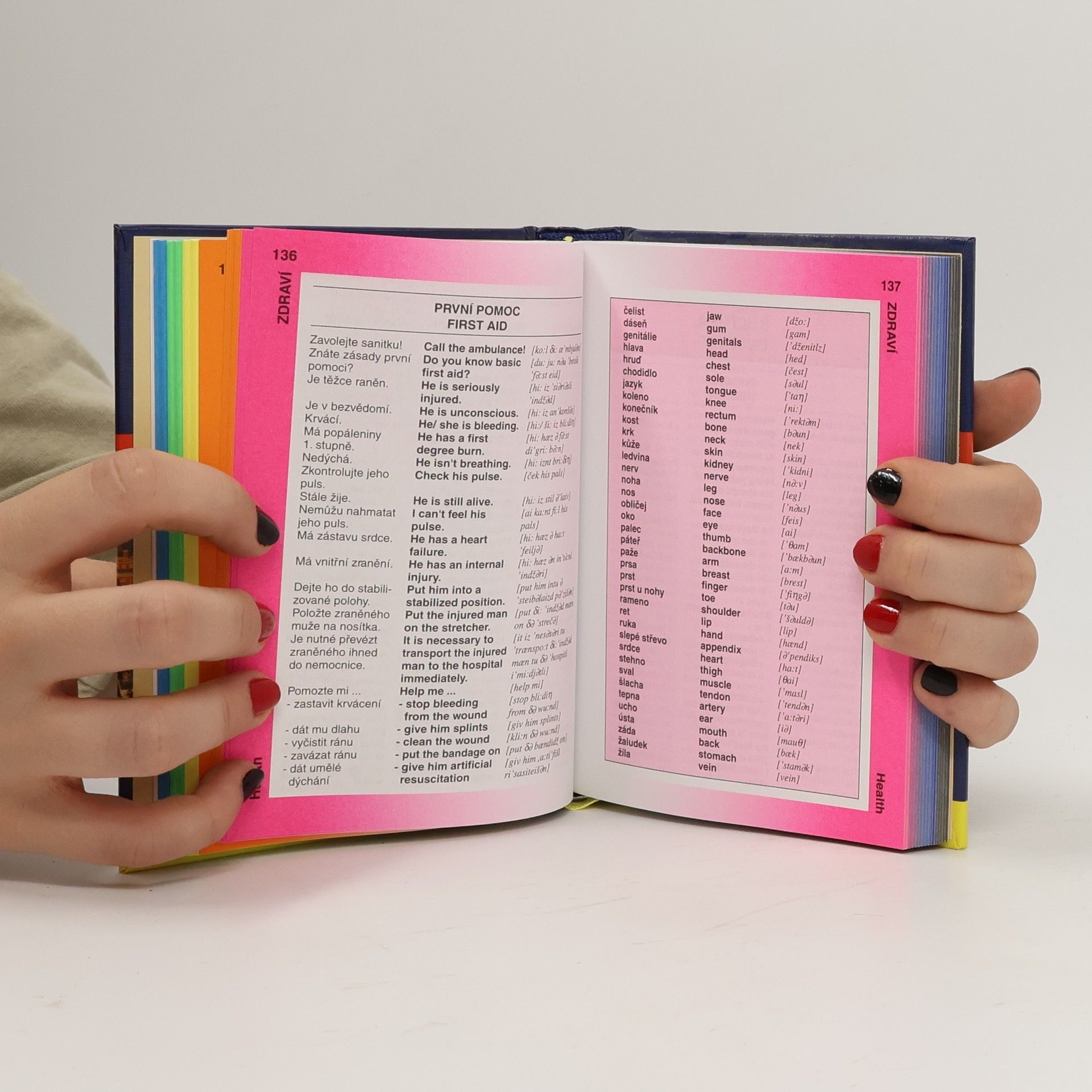 Martina Sobotíková Angličtina: Czech-English Phrase Book & Dictionary: Konverzace, turistický průvodce, gramatika, slovník