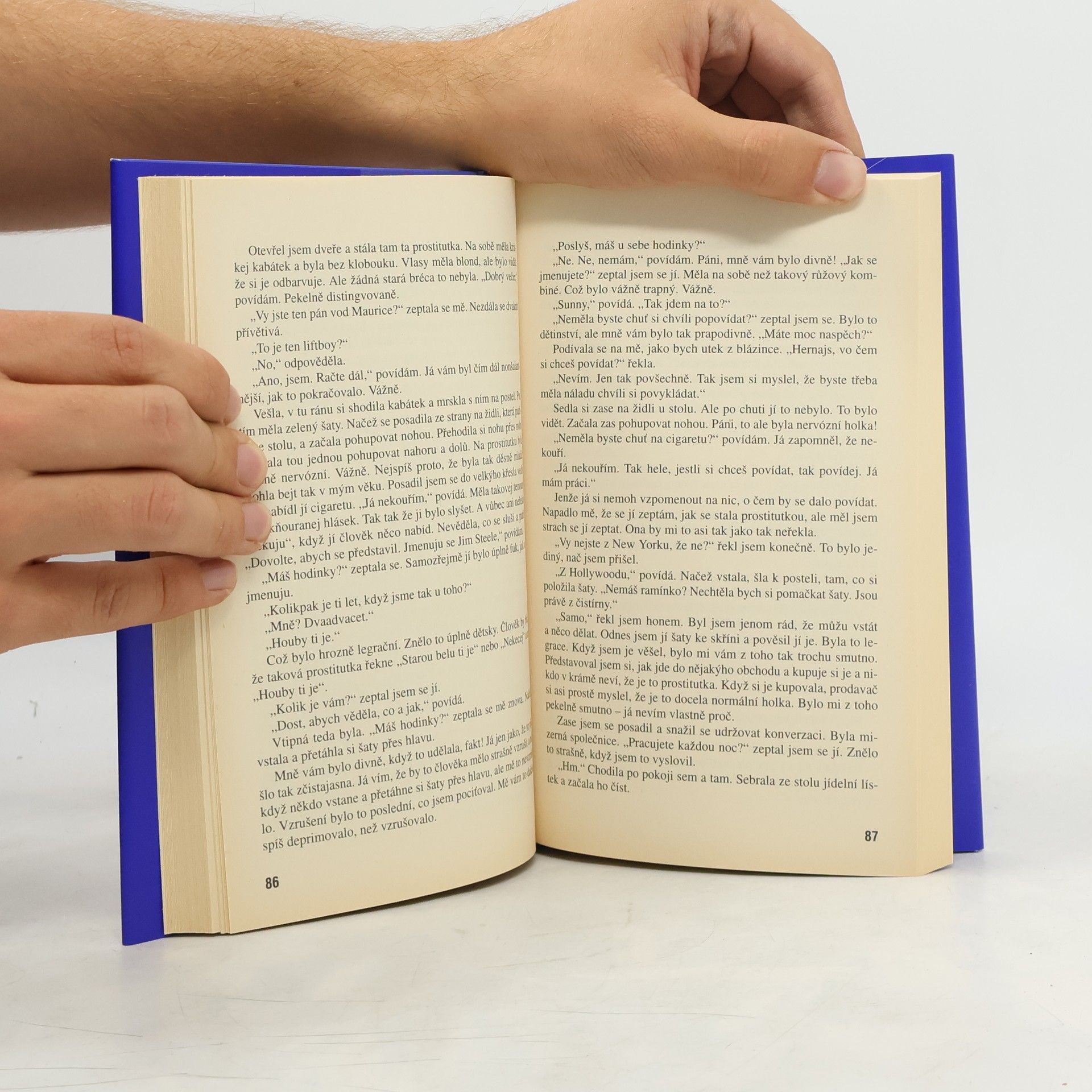 J. D. Salinger Kdo chytá v žitě