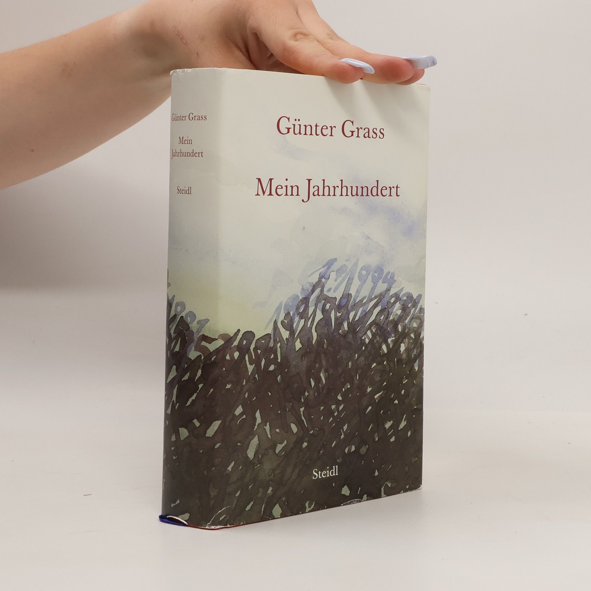 Günter Grass Mein Jahrhundert