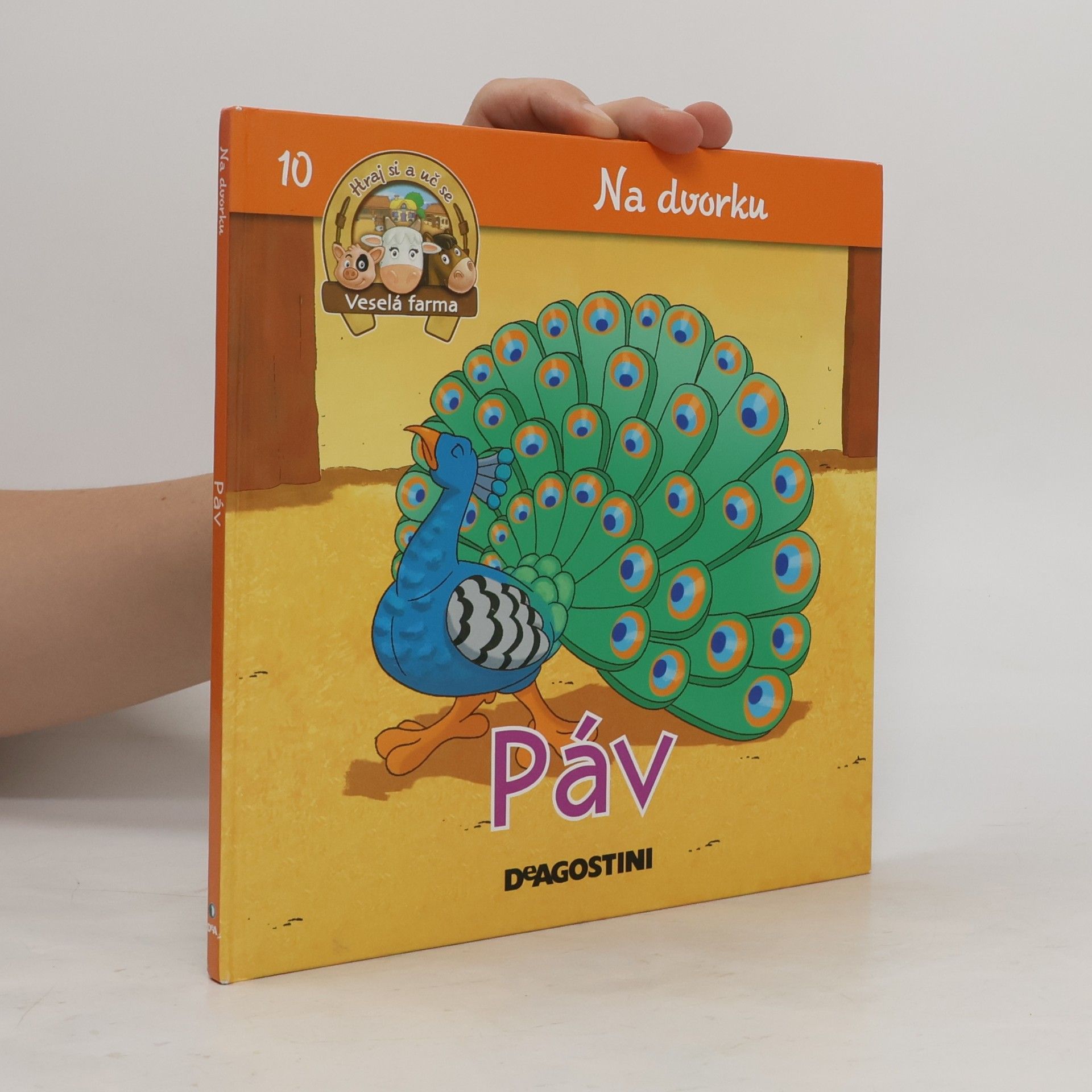 Na dvorku 10. Páv