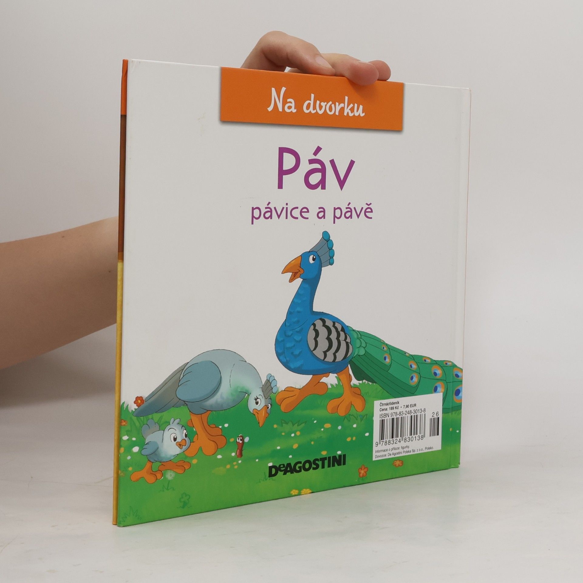 Gilles Laurendon Na dvorku 10. Páv