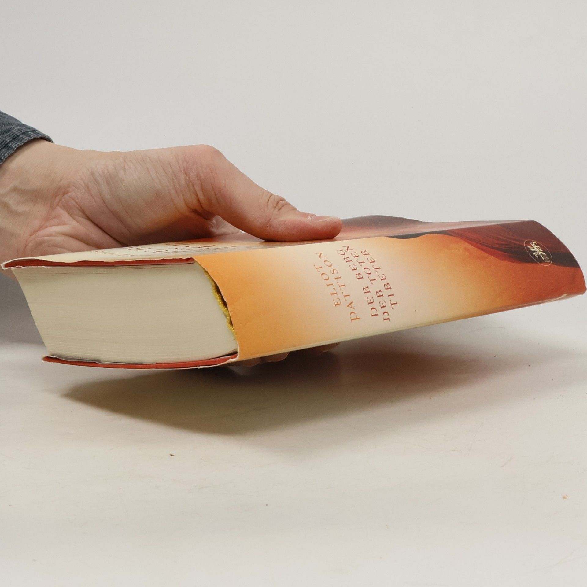 Eliot Pattison Der Berg der toten Tibeter