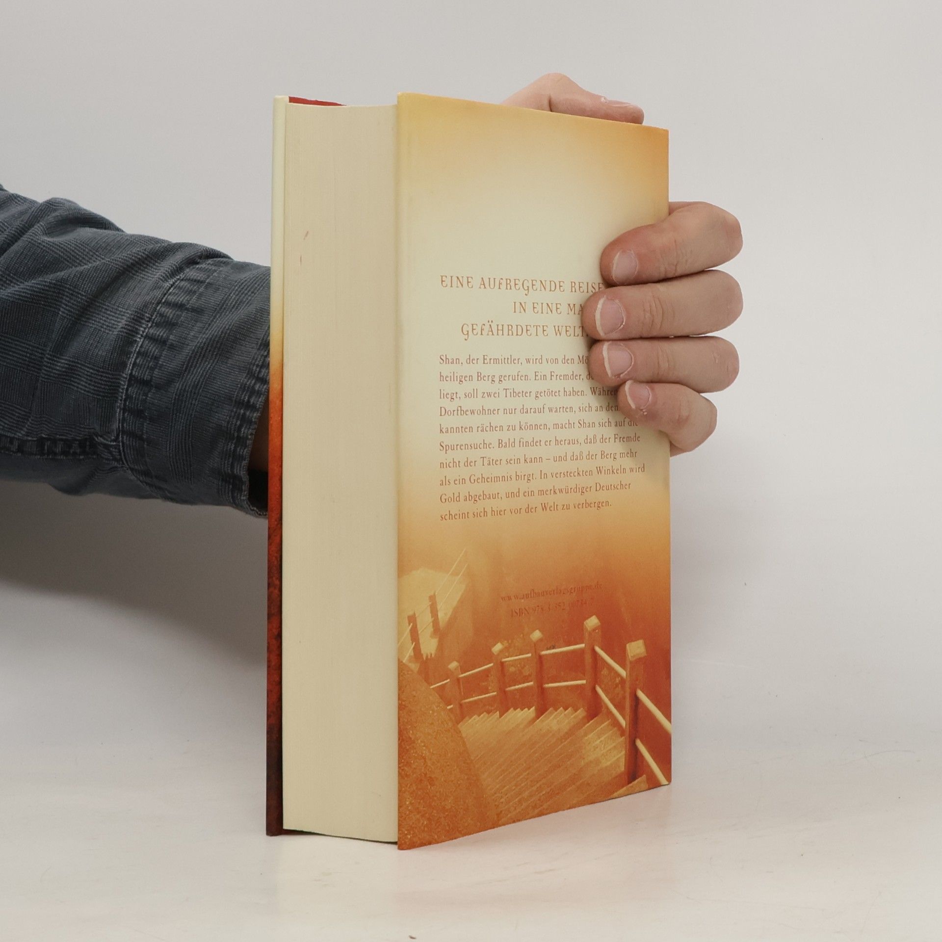 Eliot Pattison Der Berg der toten Tibeter