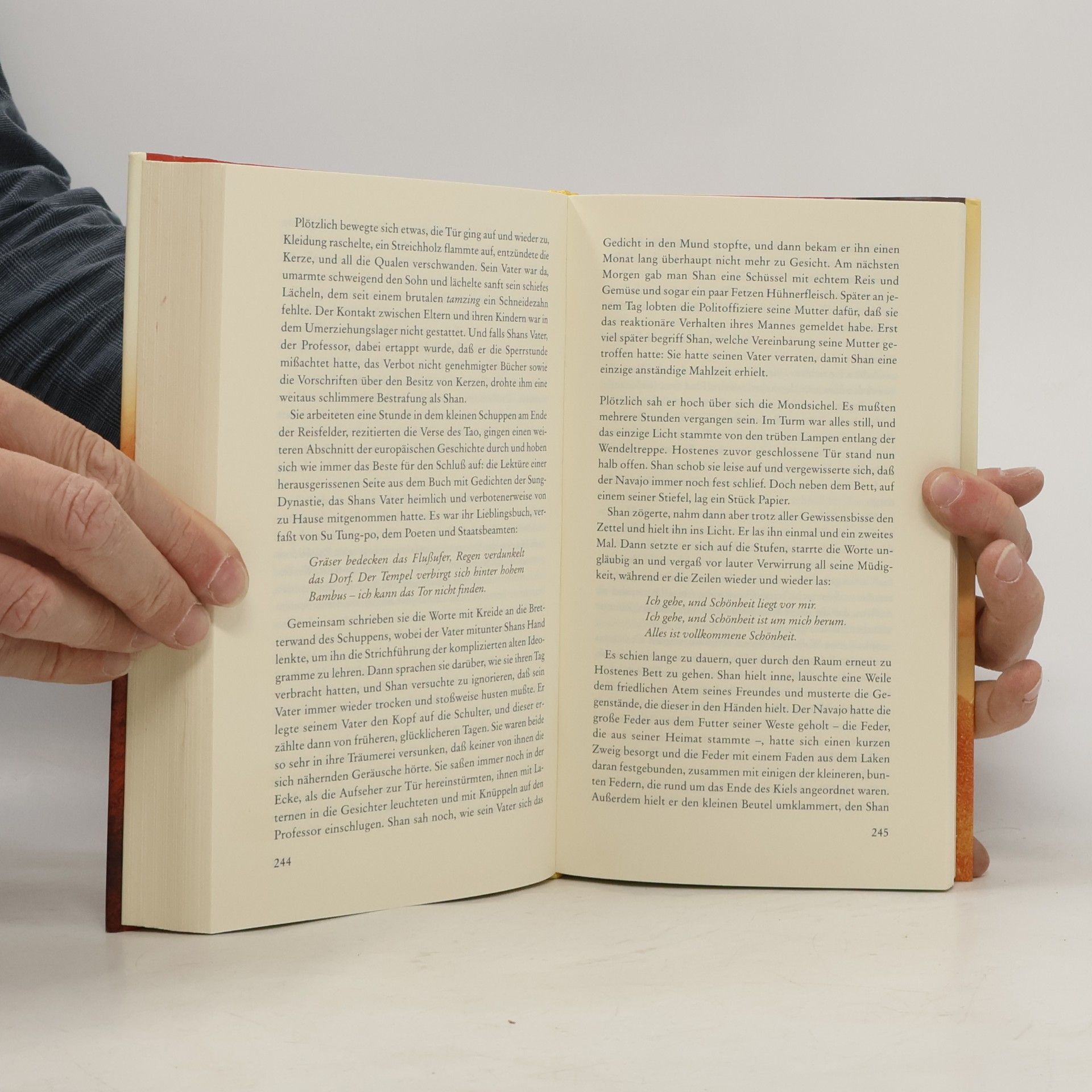 Eliot Pattison Der Berg der toten Tibeter