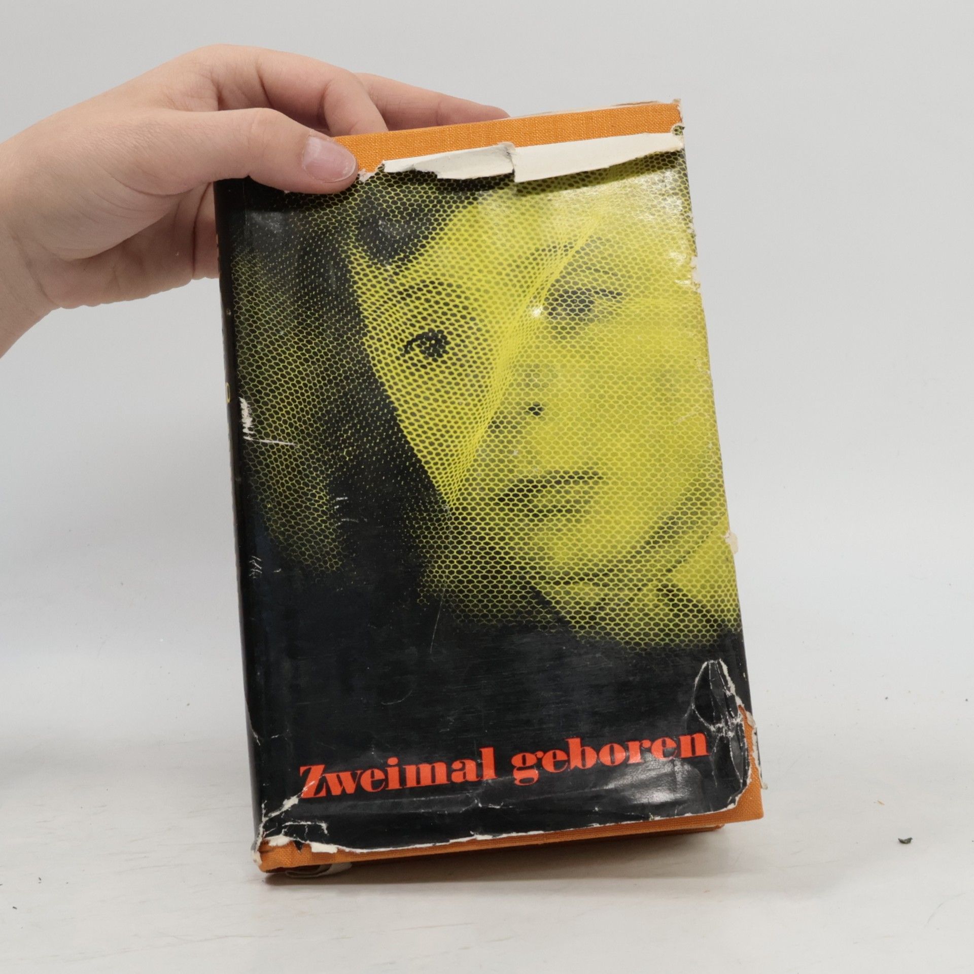 Karl Marx Zweimal geboren