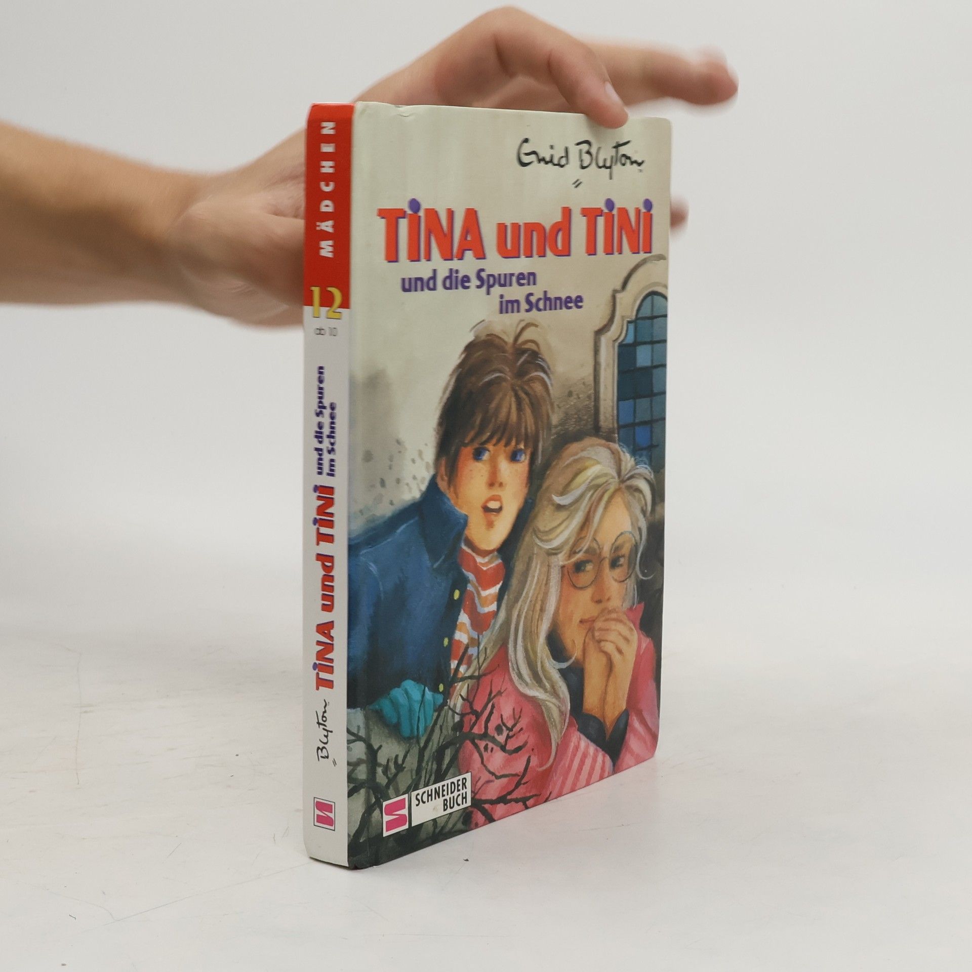 Enid Blyton Tina und Tini