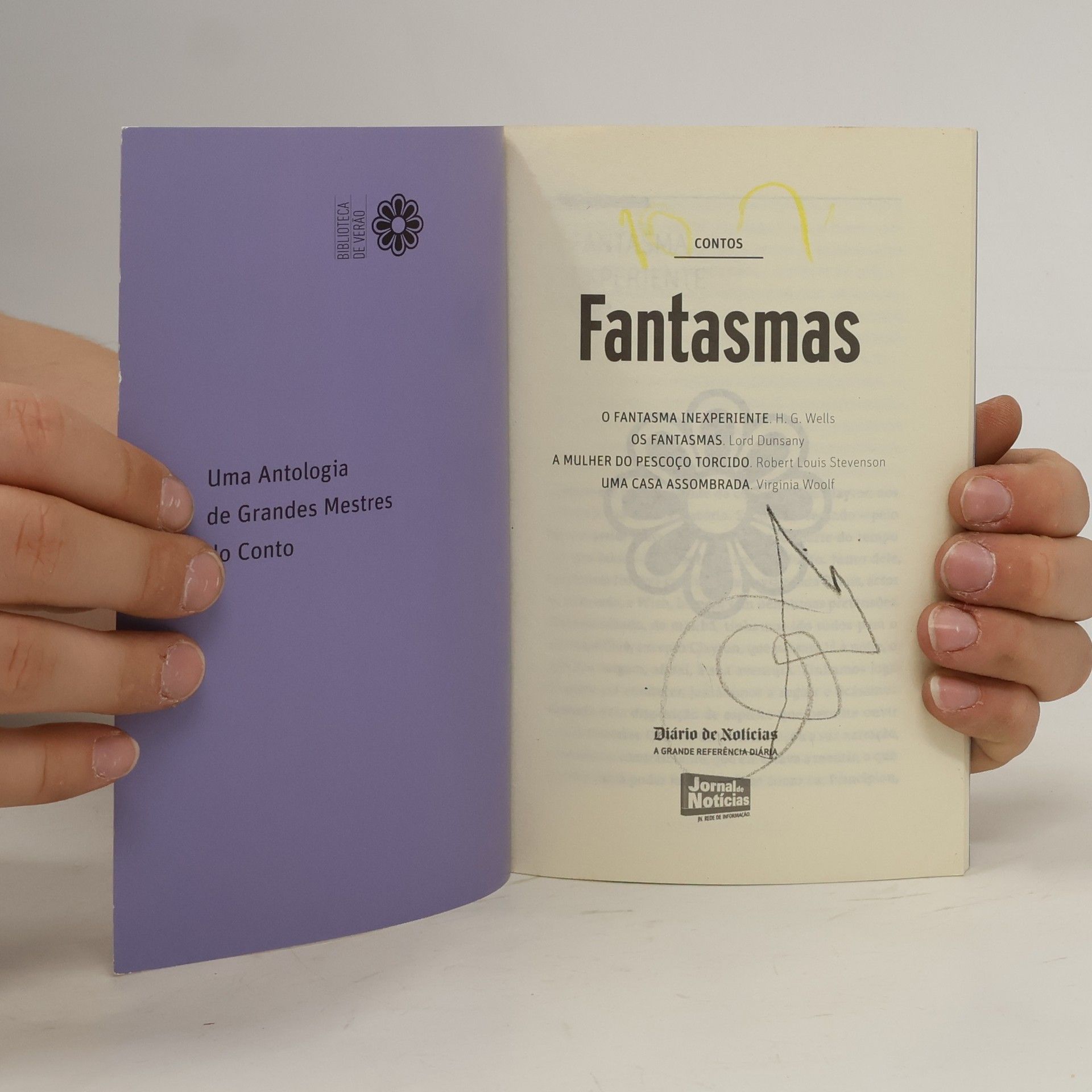 Virginia Woolf Contos Fantasmas