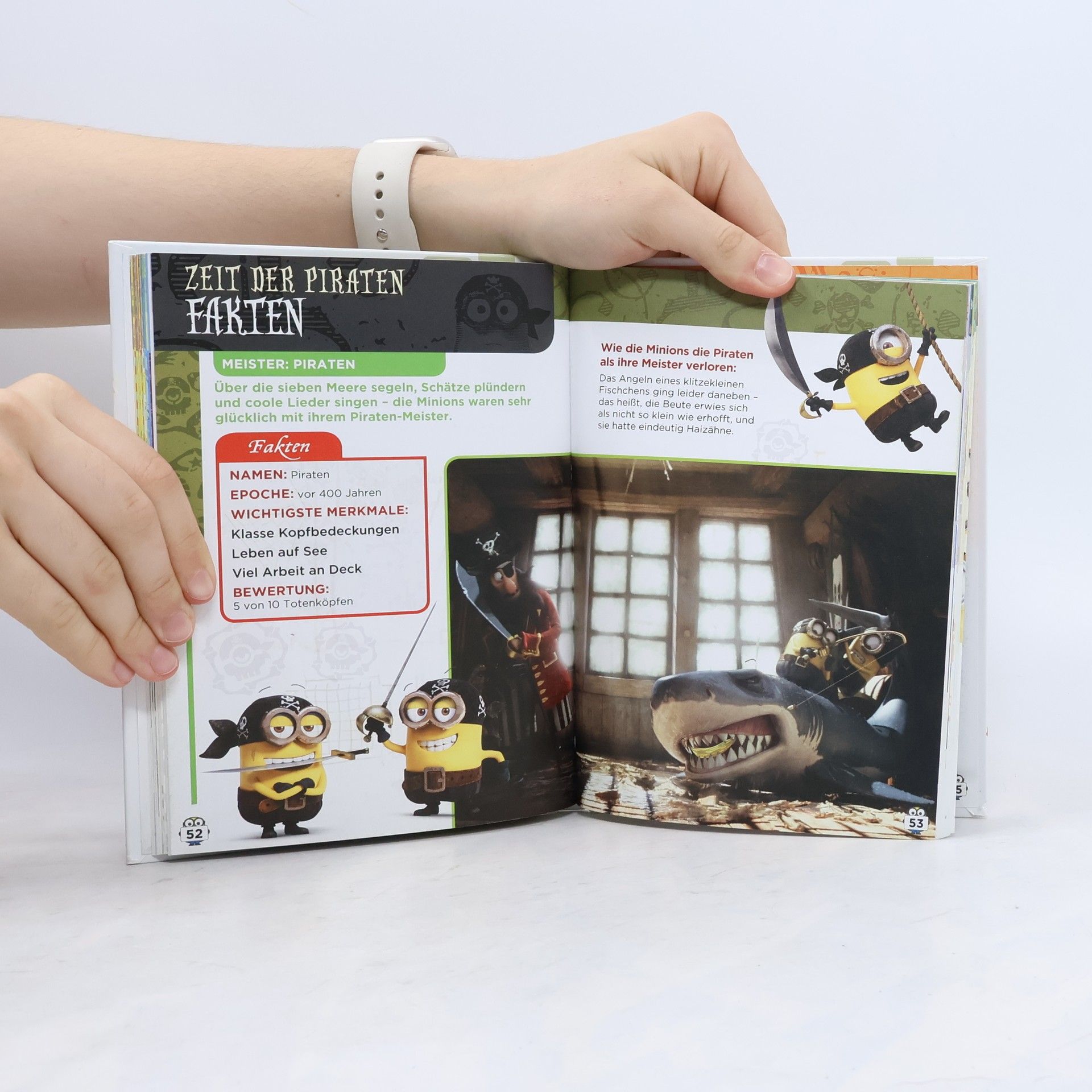 Justine Lipke Minions - das ultimative Spaßbuch
