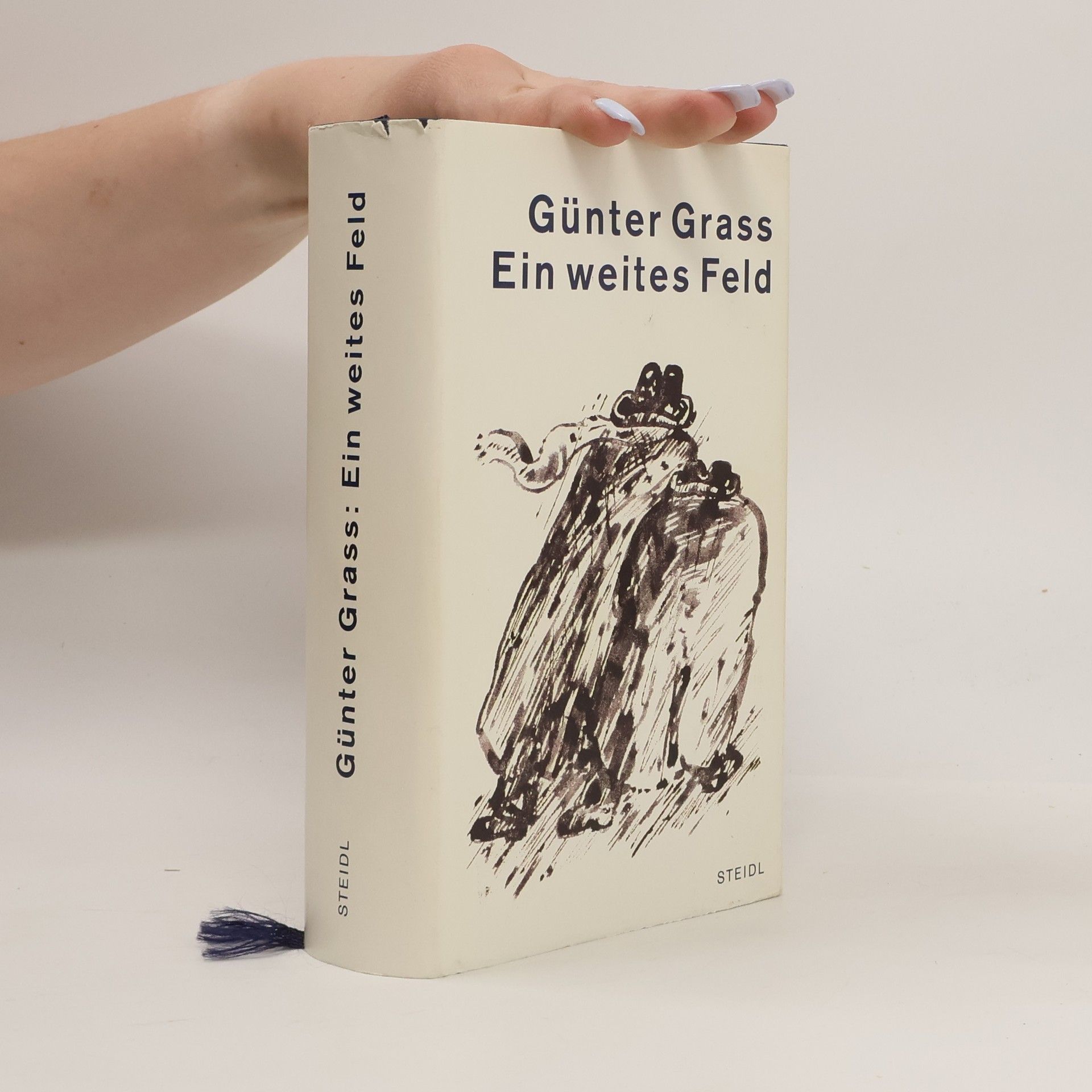 Günter Grass Ein weites Feld