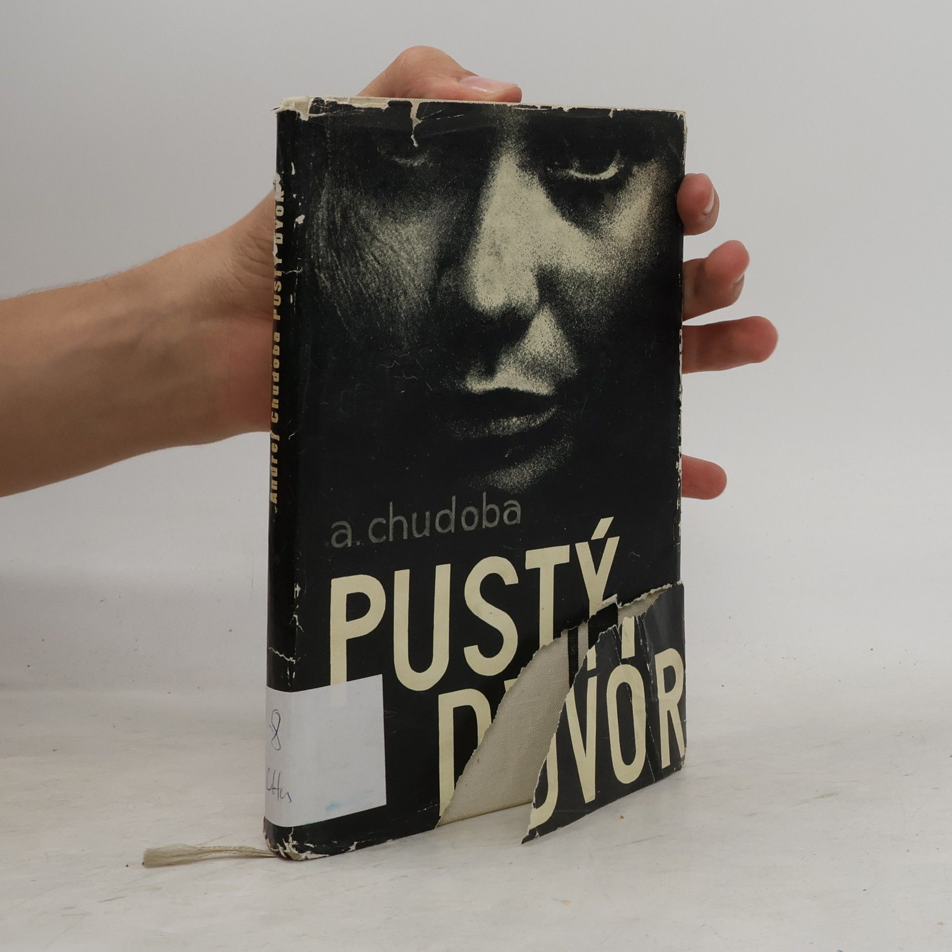 Andrej Chudoba Pustý dvor