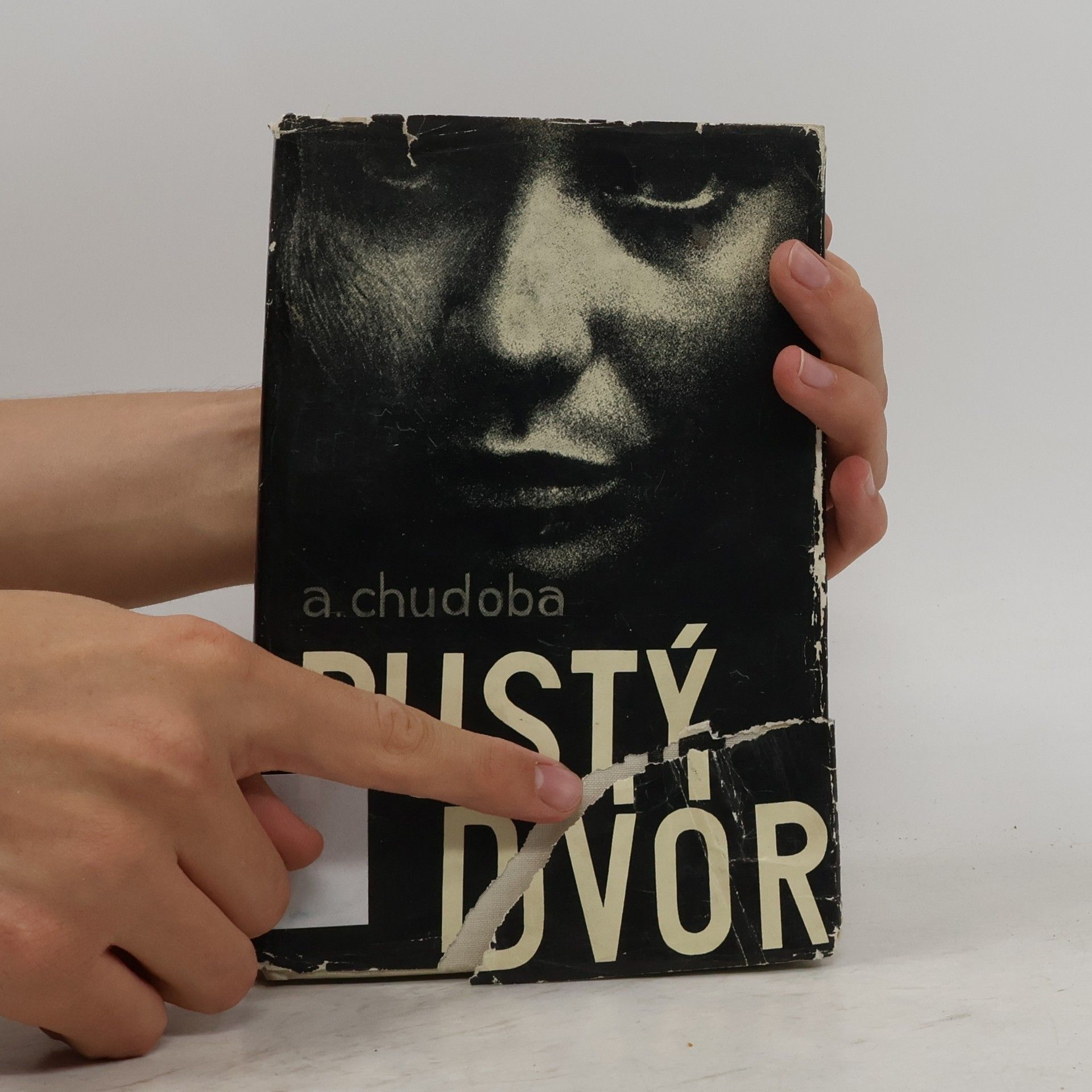 Andrej Chudoba Pustý dvor
