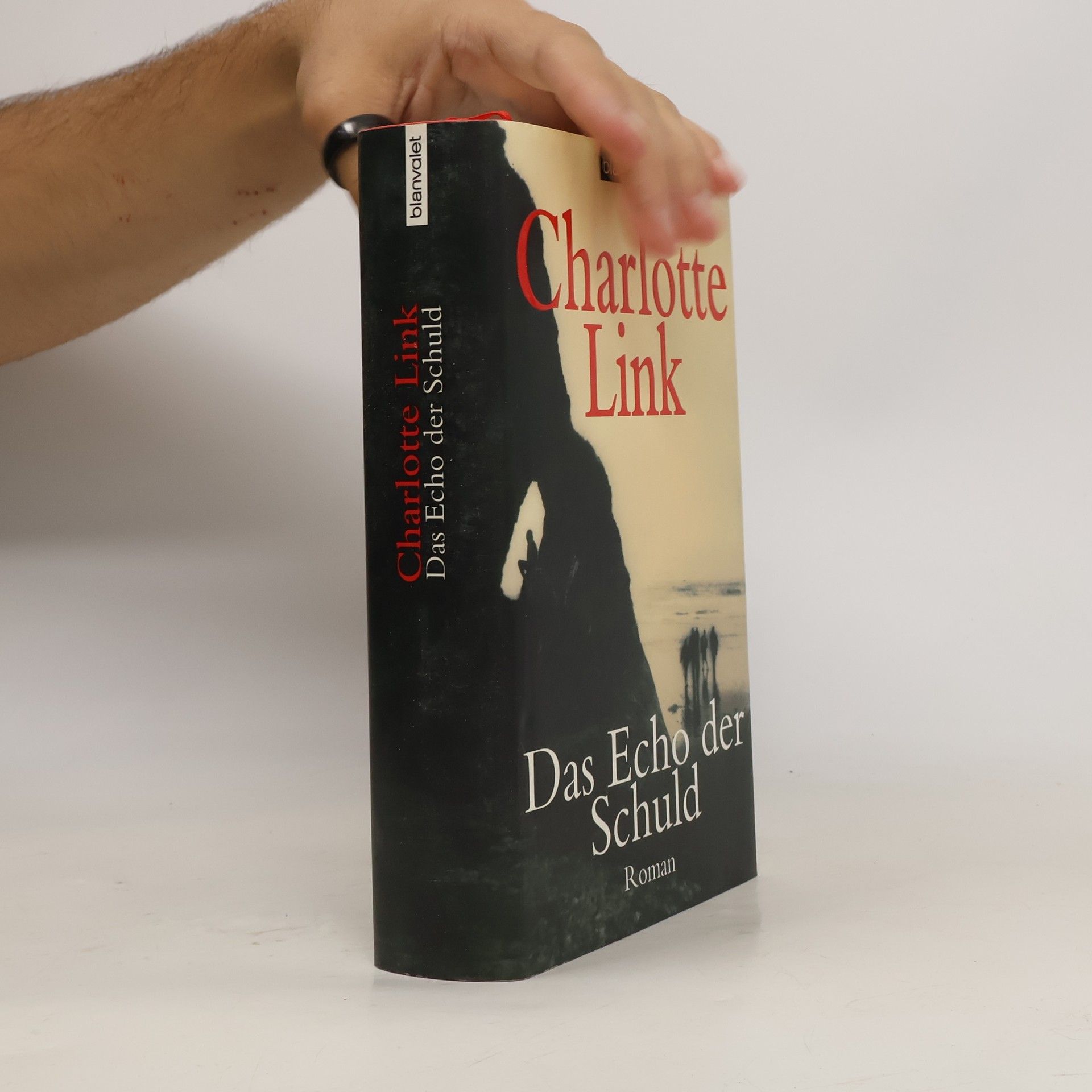 Charlotte Link Das Echo der Schuld