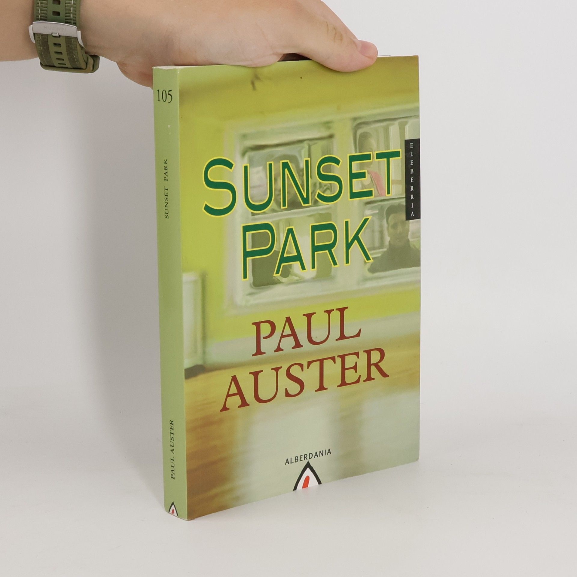 Paul Auster Sunset Park