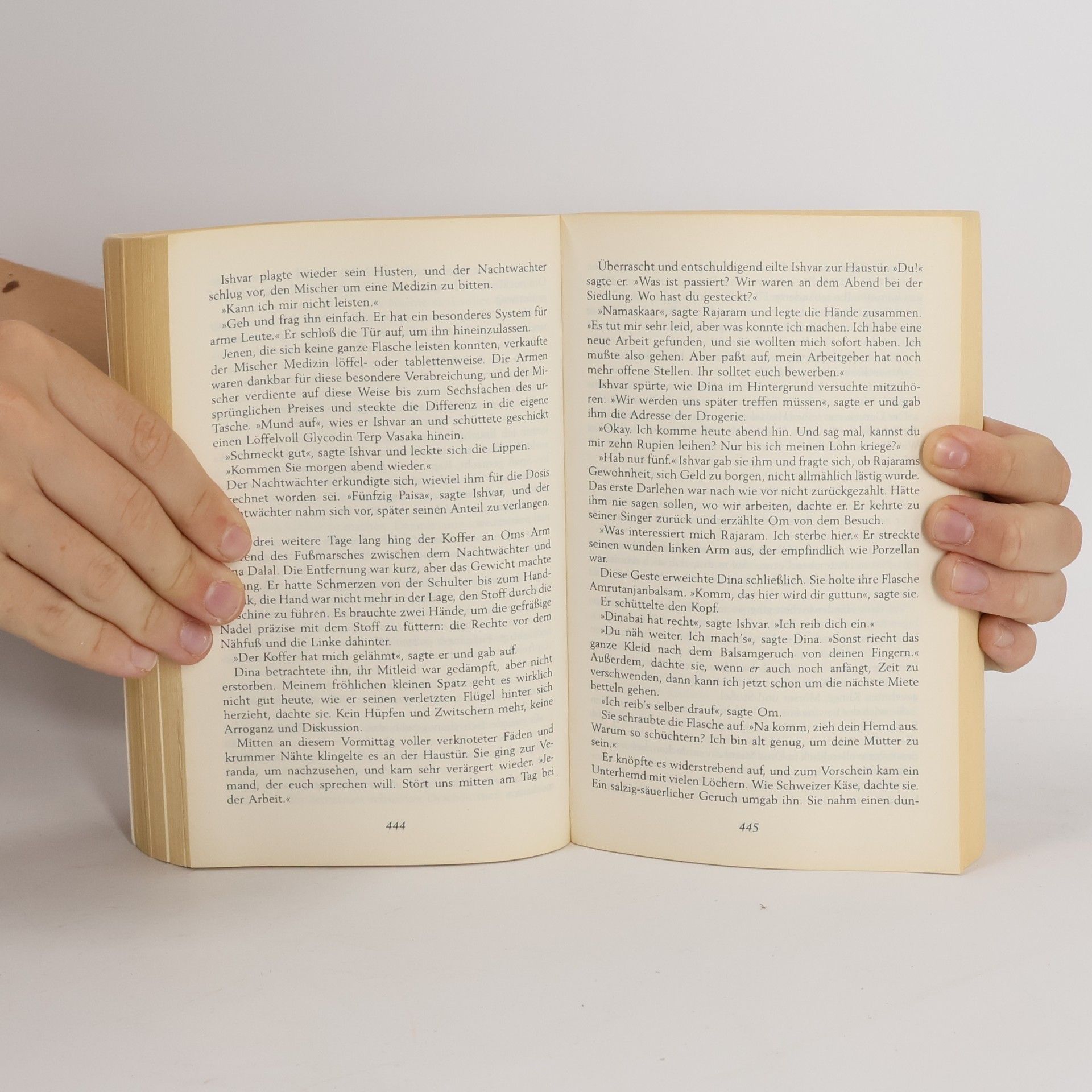 Rohinton Mistry Das Gleichgewicht der Welt