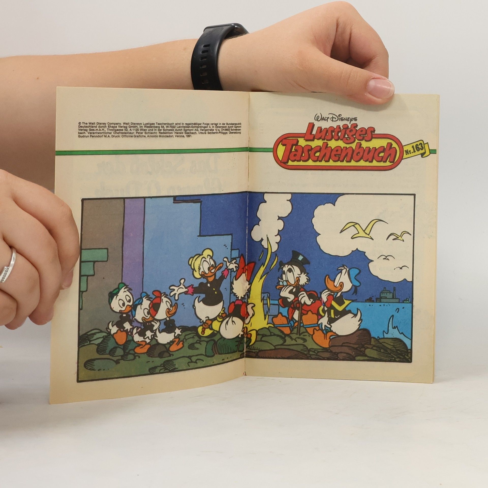 Walt Disney Lustiges Taschenbuch 163: Das Schloß der Glenna O'Duck