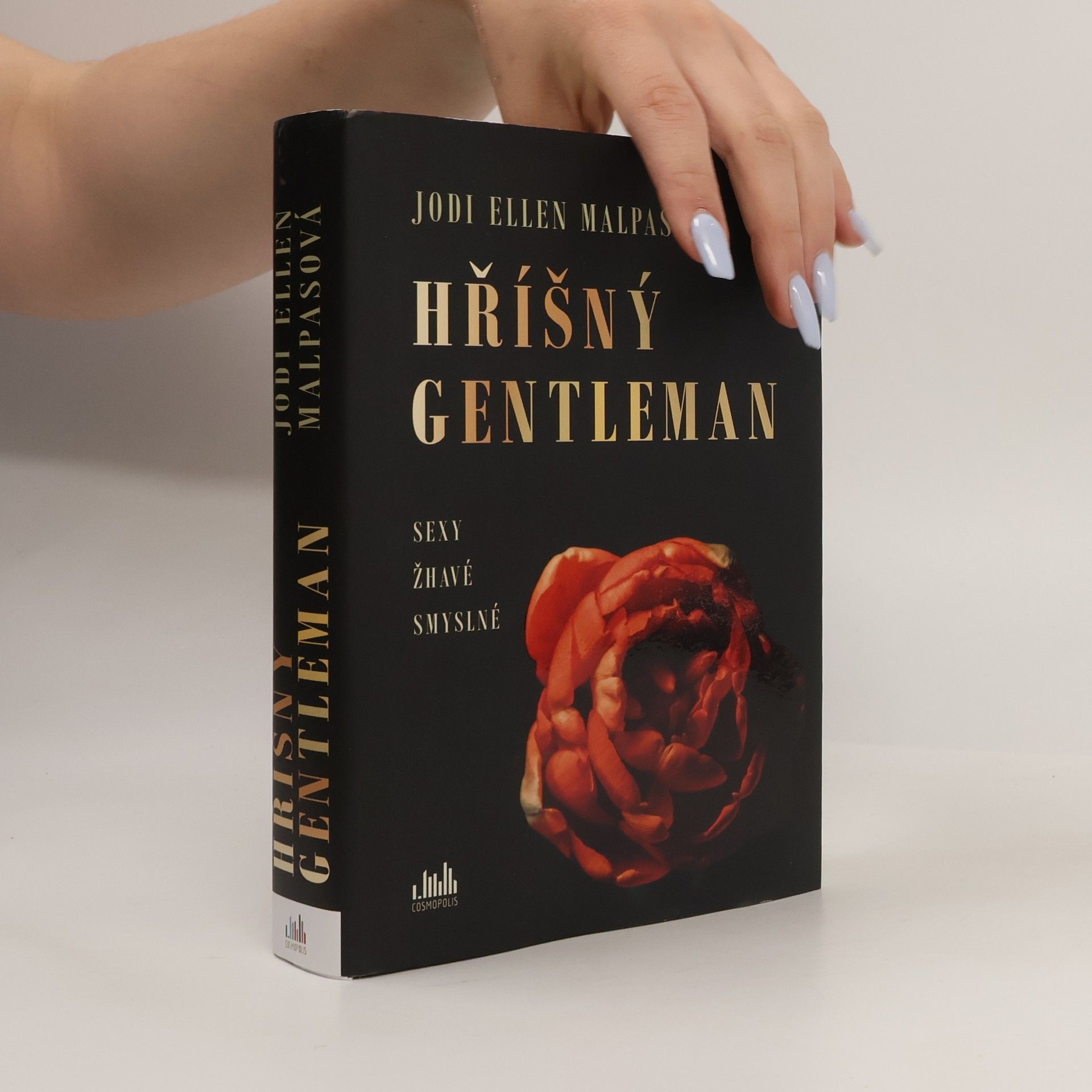 Jodi Ellen Malpas Hříšný gentleman