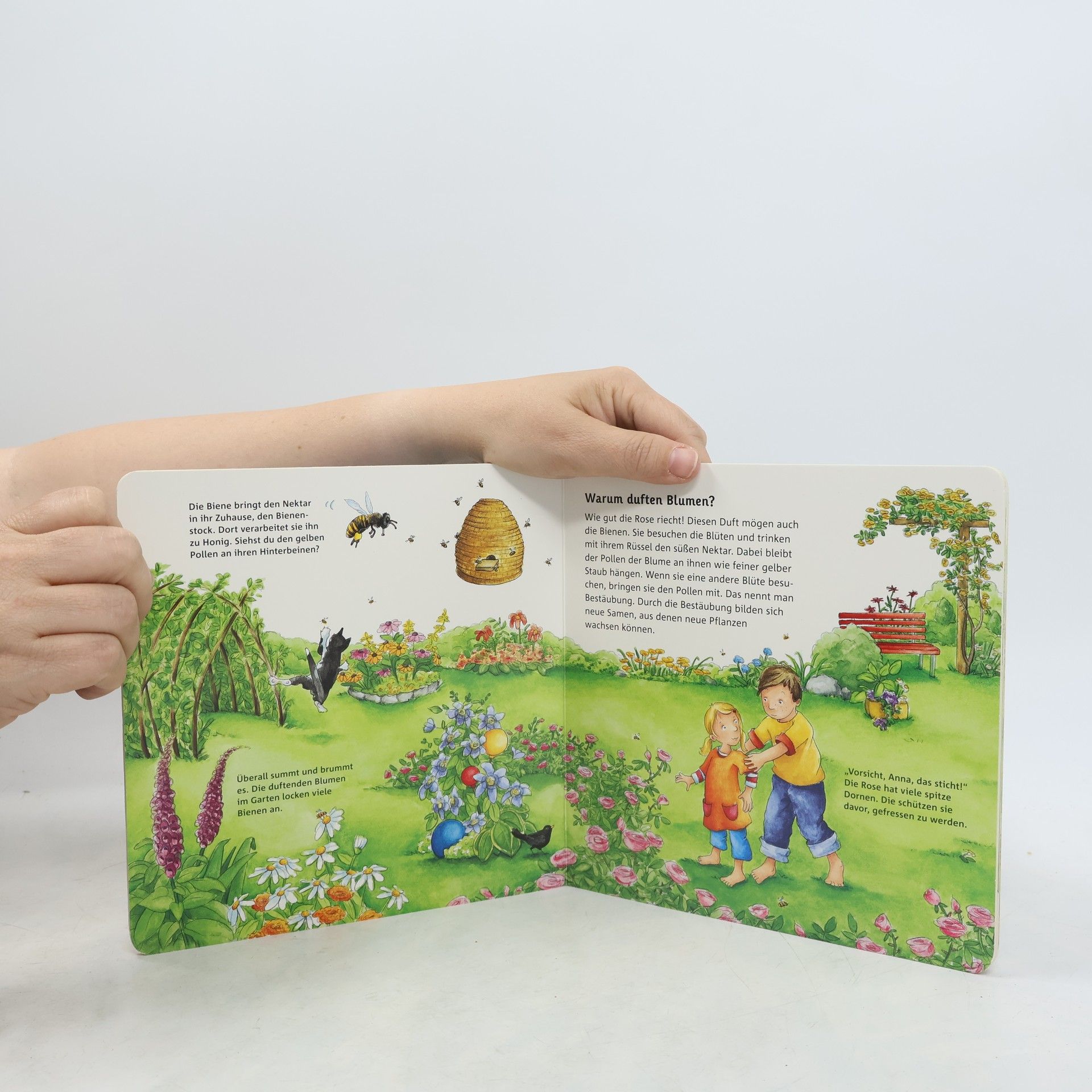 Autorenkollektiv Wir entdecken den Garten