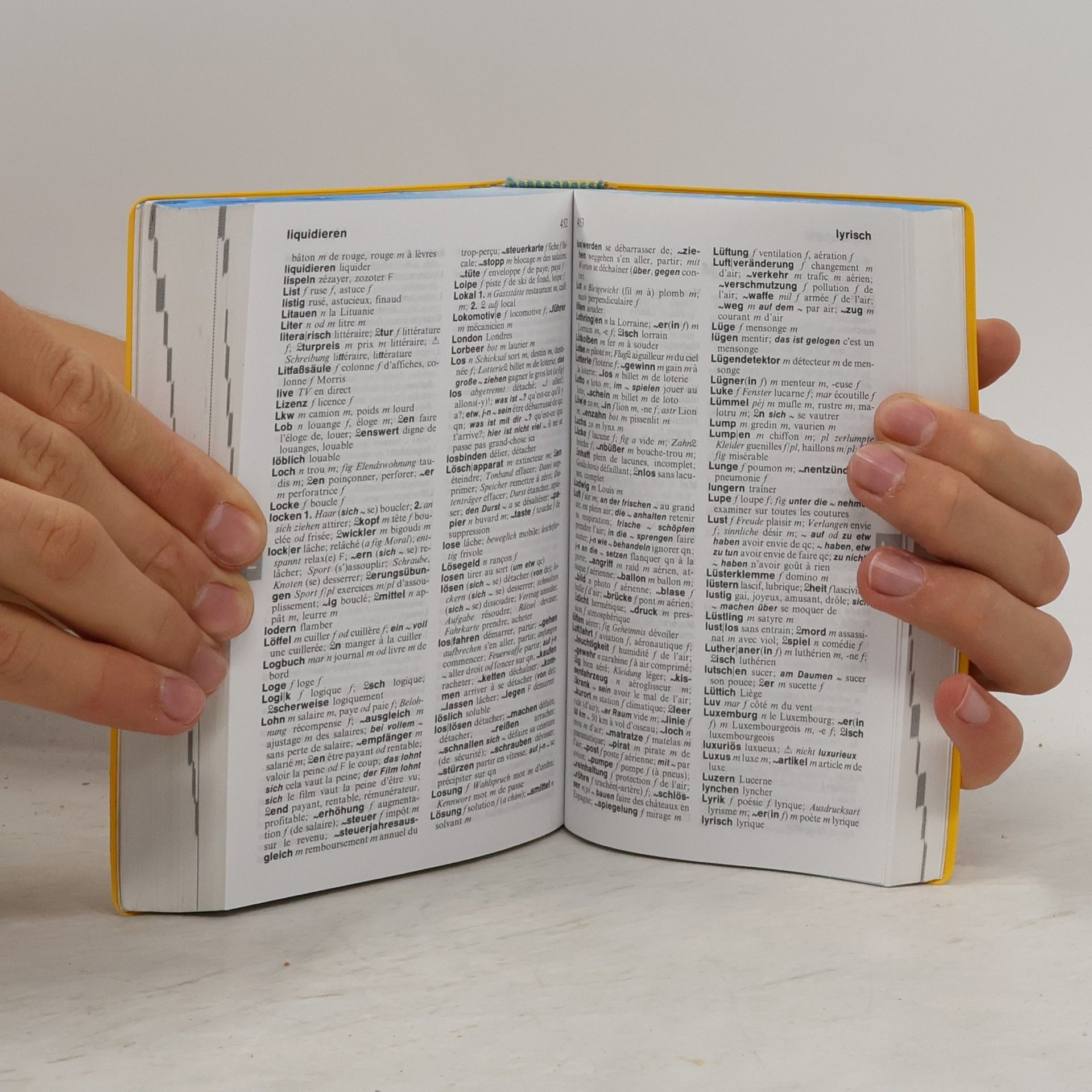 Kolektív autorov Langenscheidts Schulwörterbuch Französisch