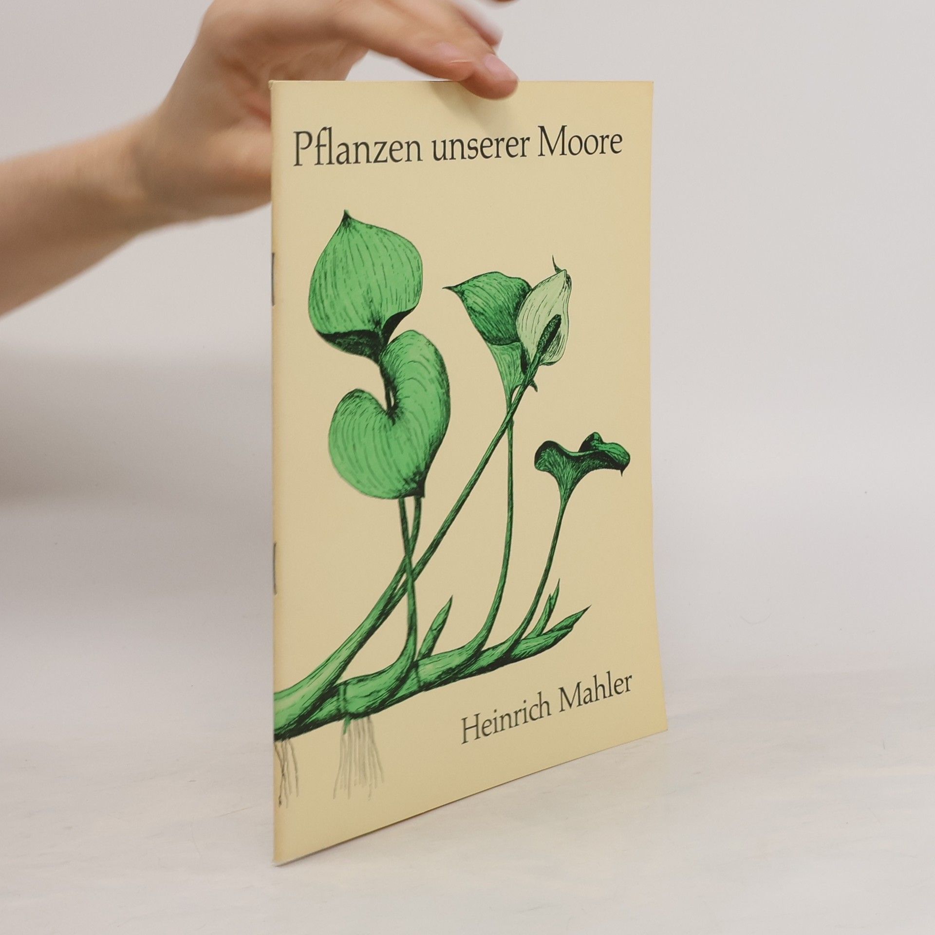 Heinrich Mahler Pflanzen unserer Moore