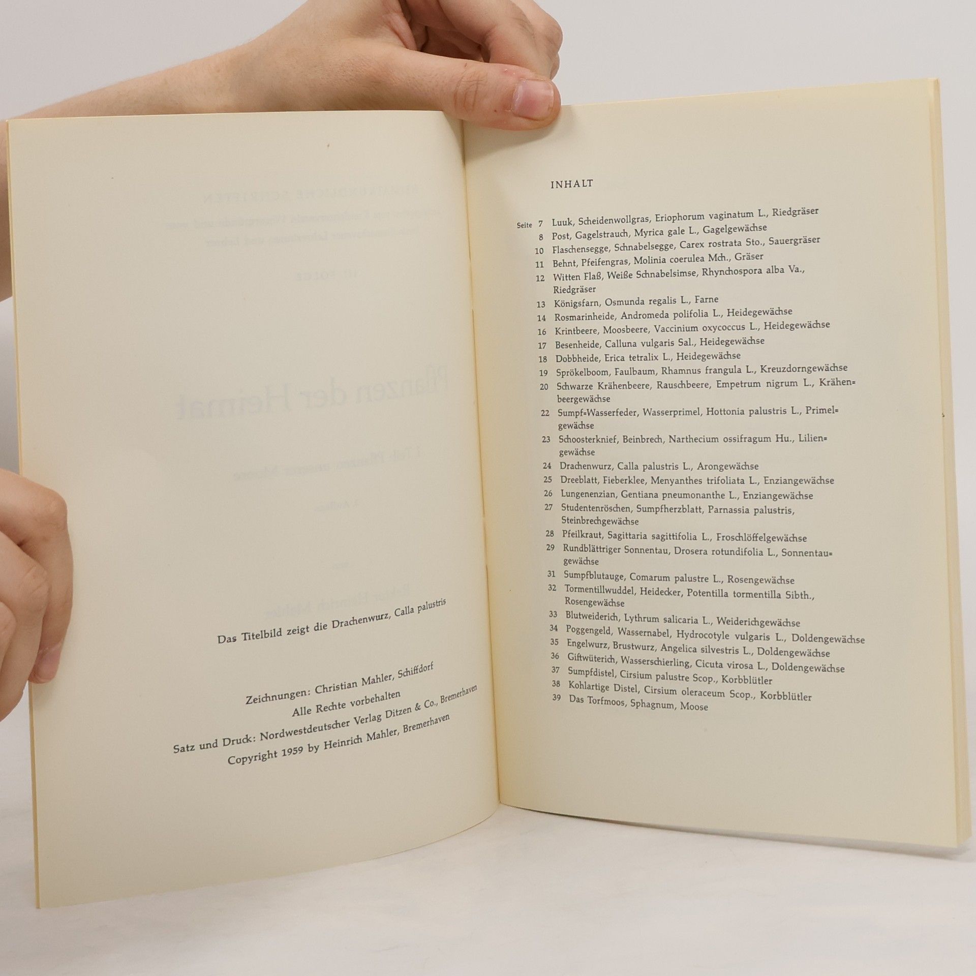 Heinrich Mahler Pflanzen unserer Moore