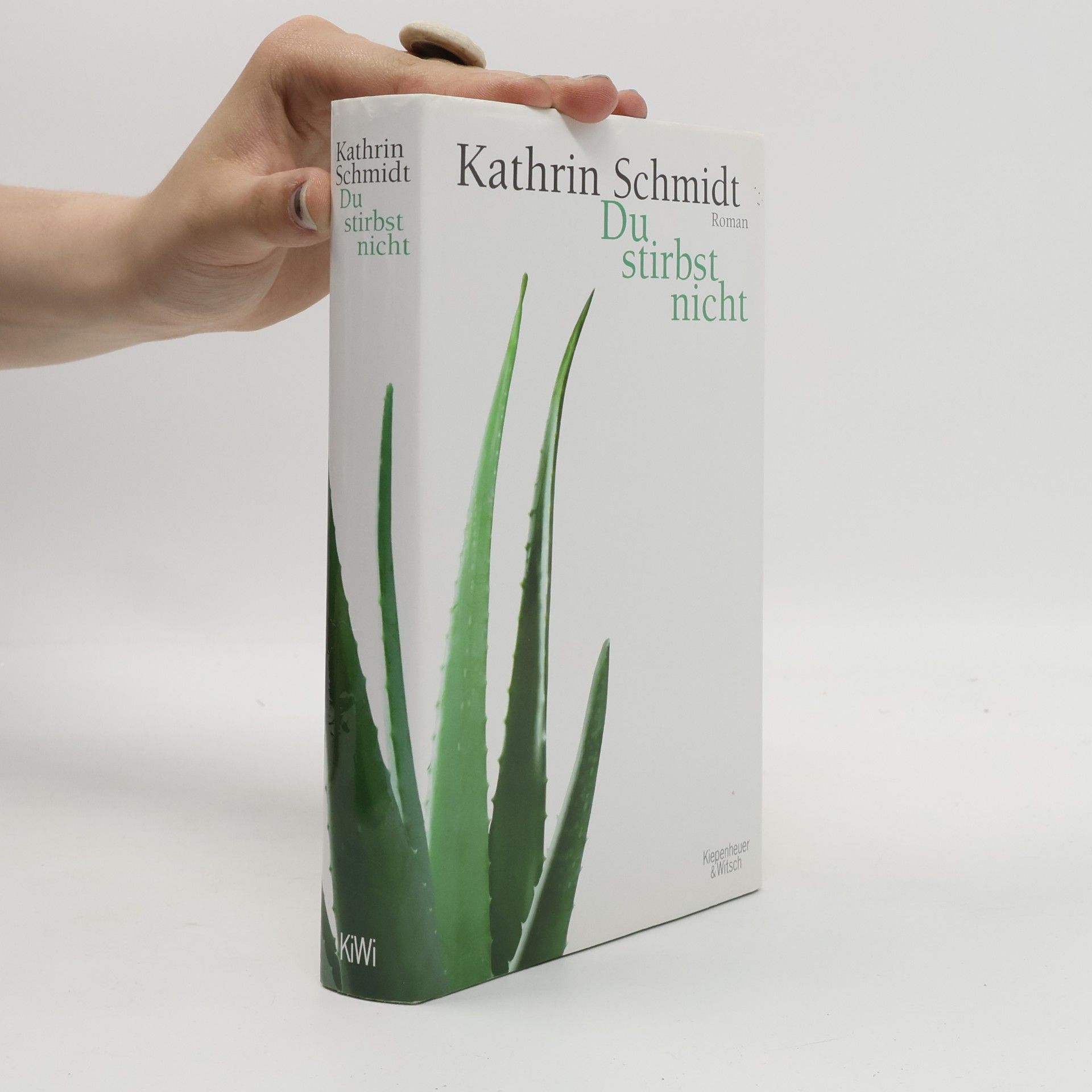 Kathrin Schmidt Du stirbst nicht