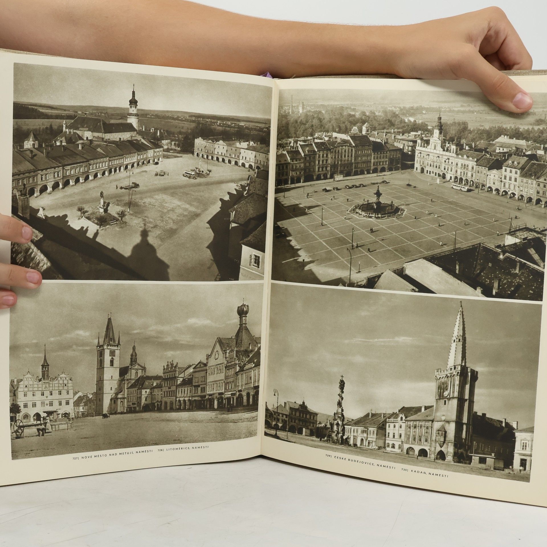 Autorenkollektiv Architektura v českém národním dědictví