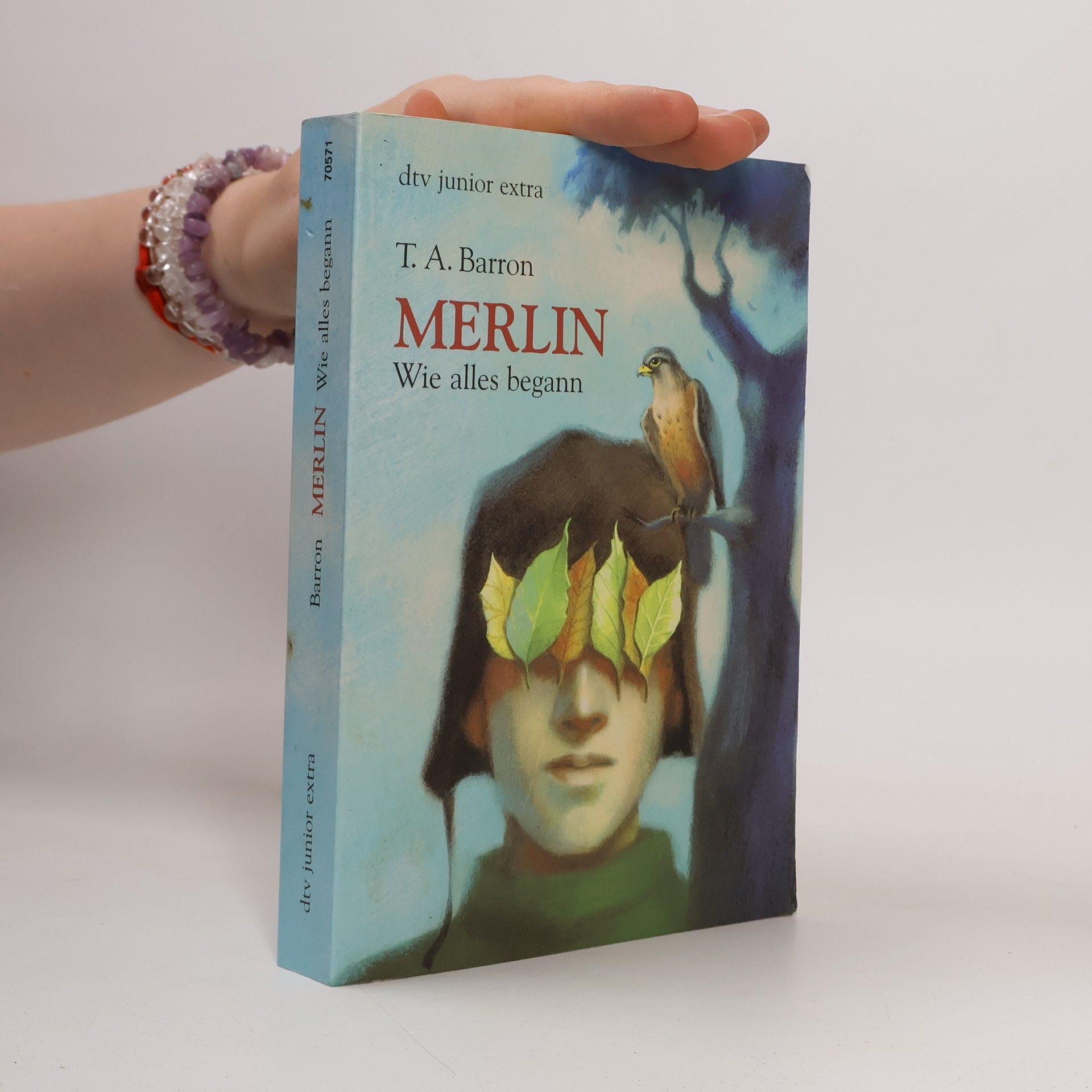 T. A. Barron Merlin. Wie alles begann