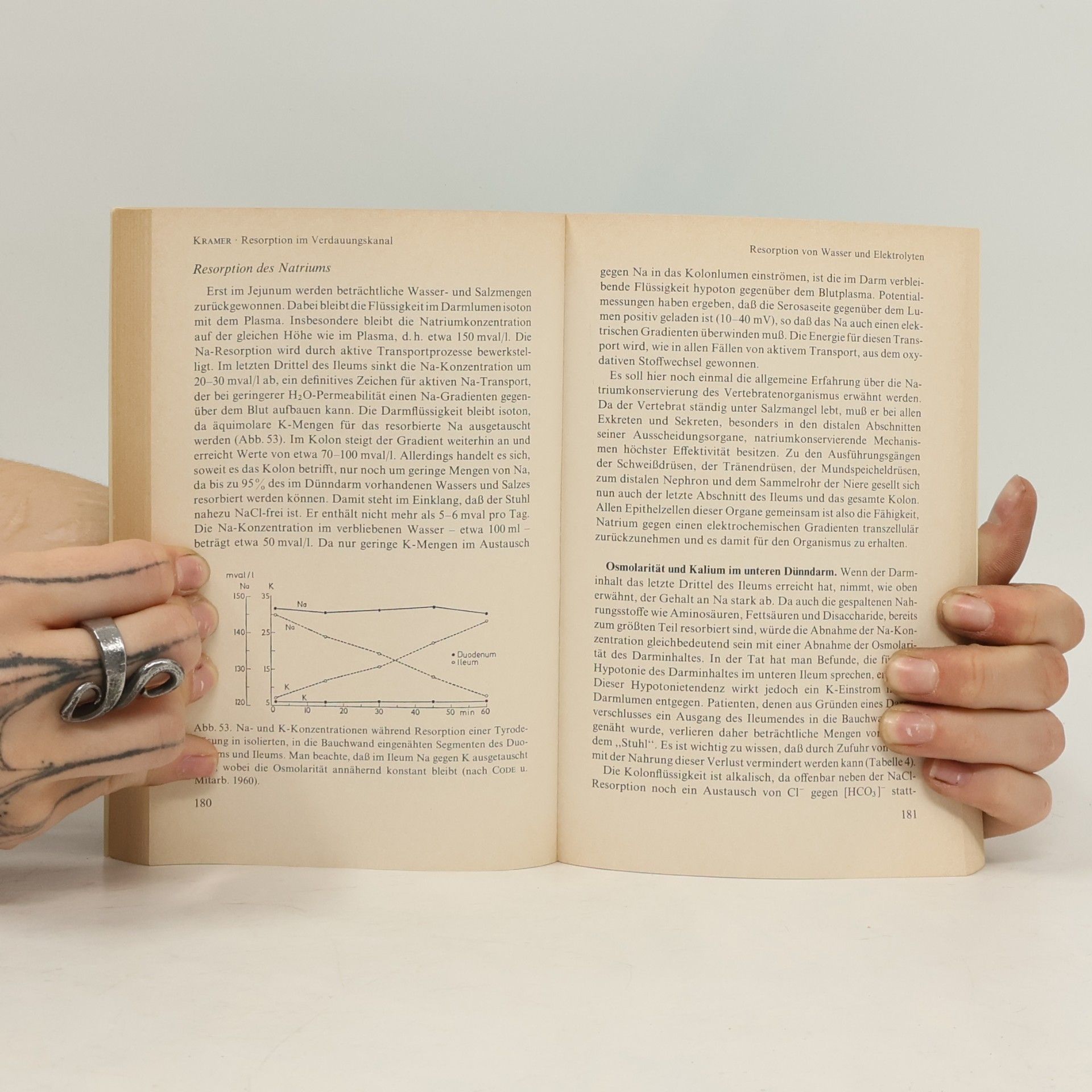 Götz F. Domagk Physiologie des Menschen - 8: Ernährung, Verdauung, Intermediärstoffwechsel