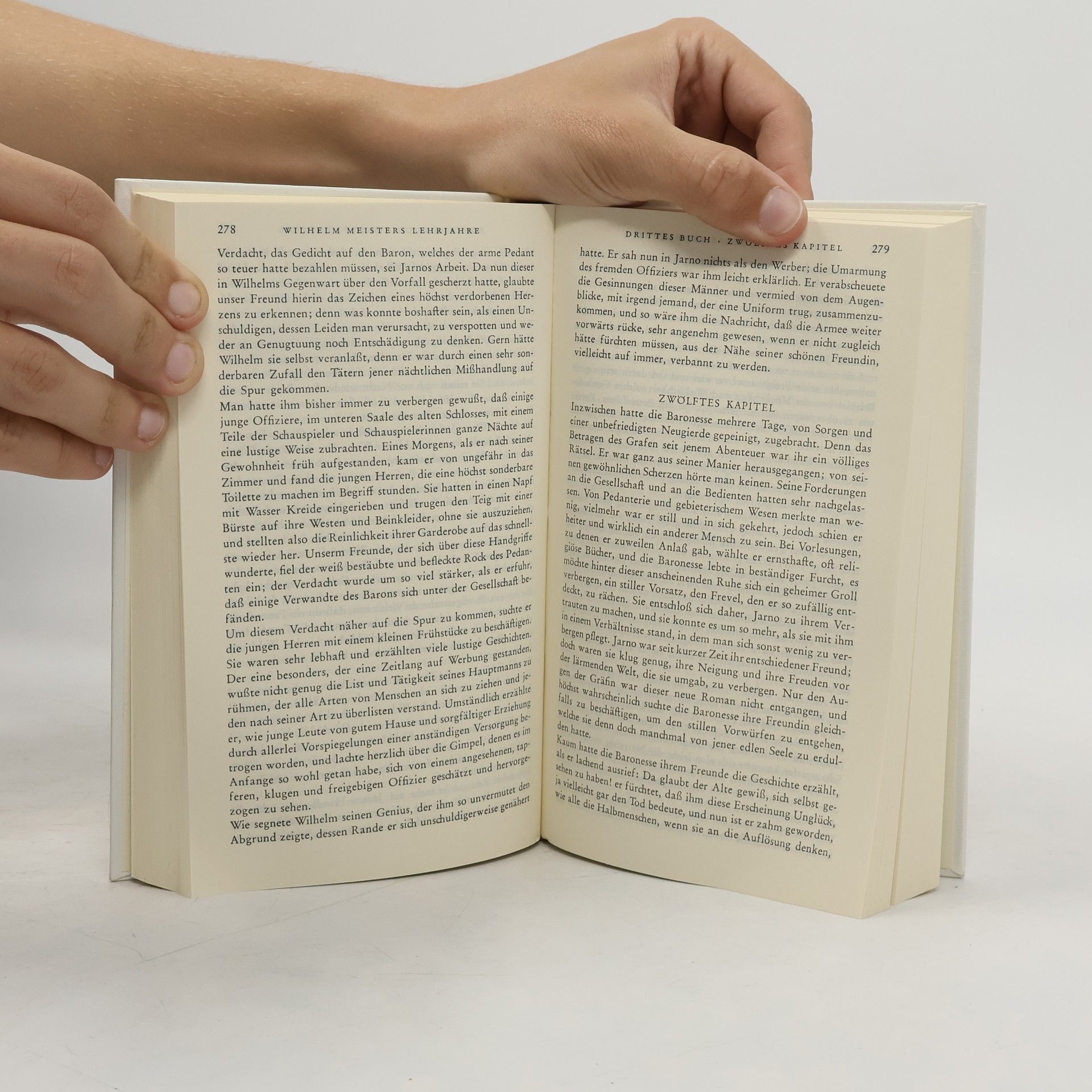Johann Wolfgang von Goethe Goethe Werke 4. Die Leiden des jungen Werther Wilhelm Meisters Lehrjahre
