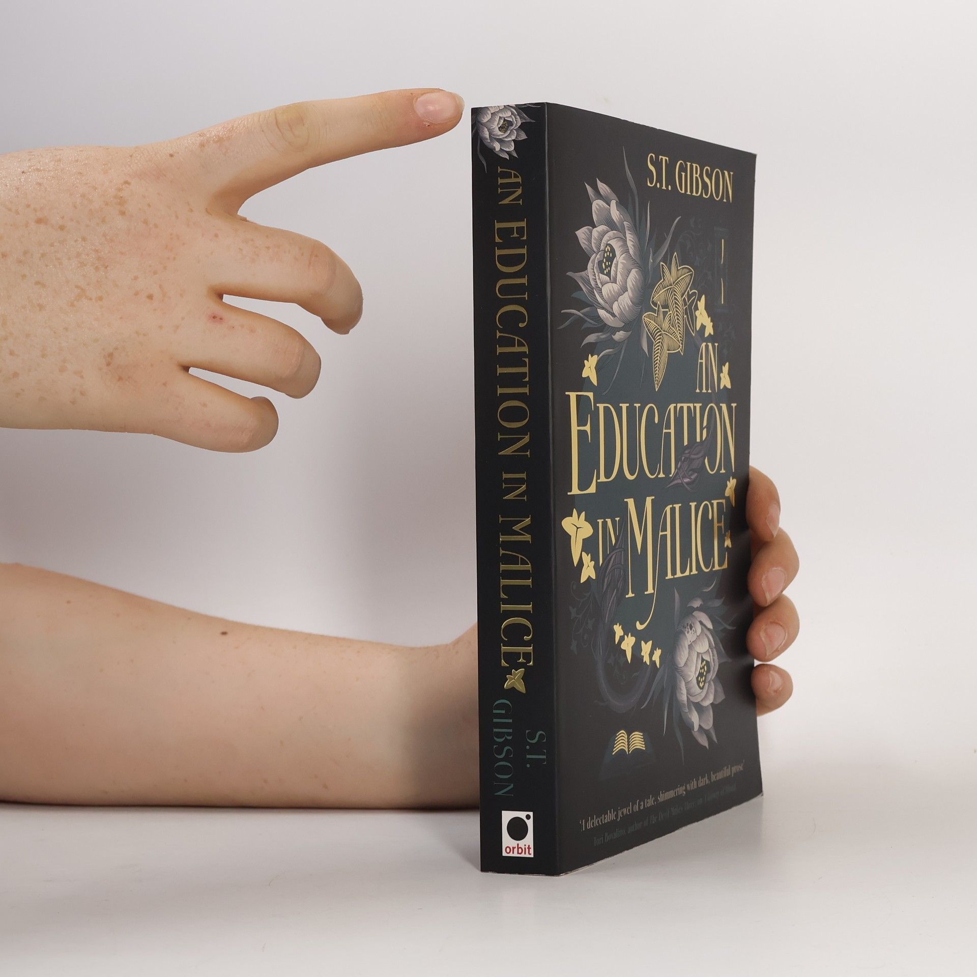 S. T. Gibson An Education in Malice