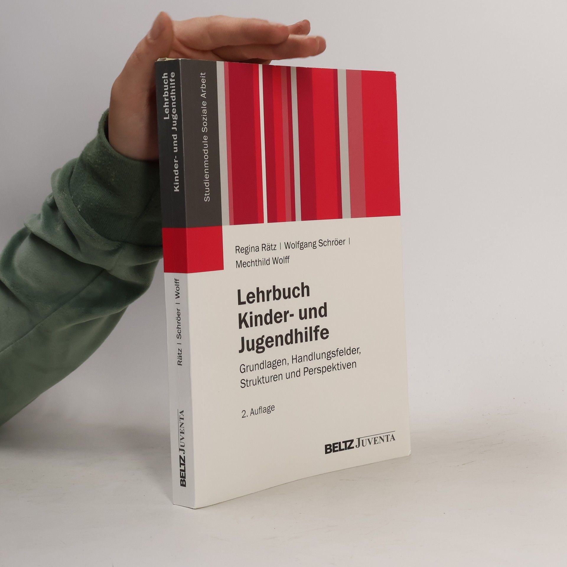 Mechthild Wolff Studienmodule Soziale Arbeit: Lehrbuch Kinder- und Jugendhilfe