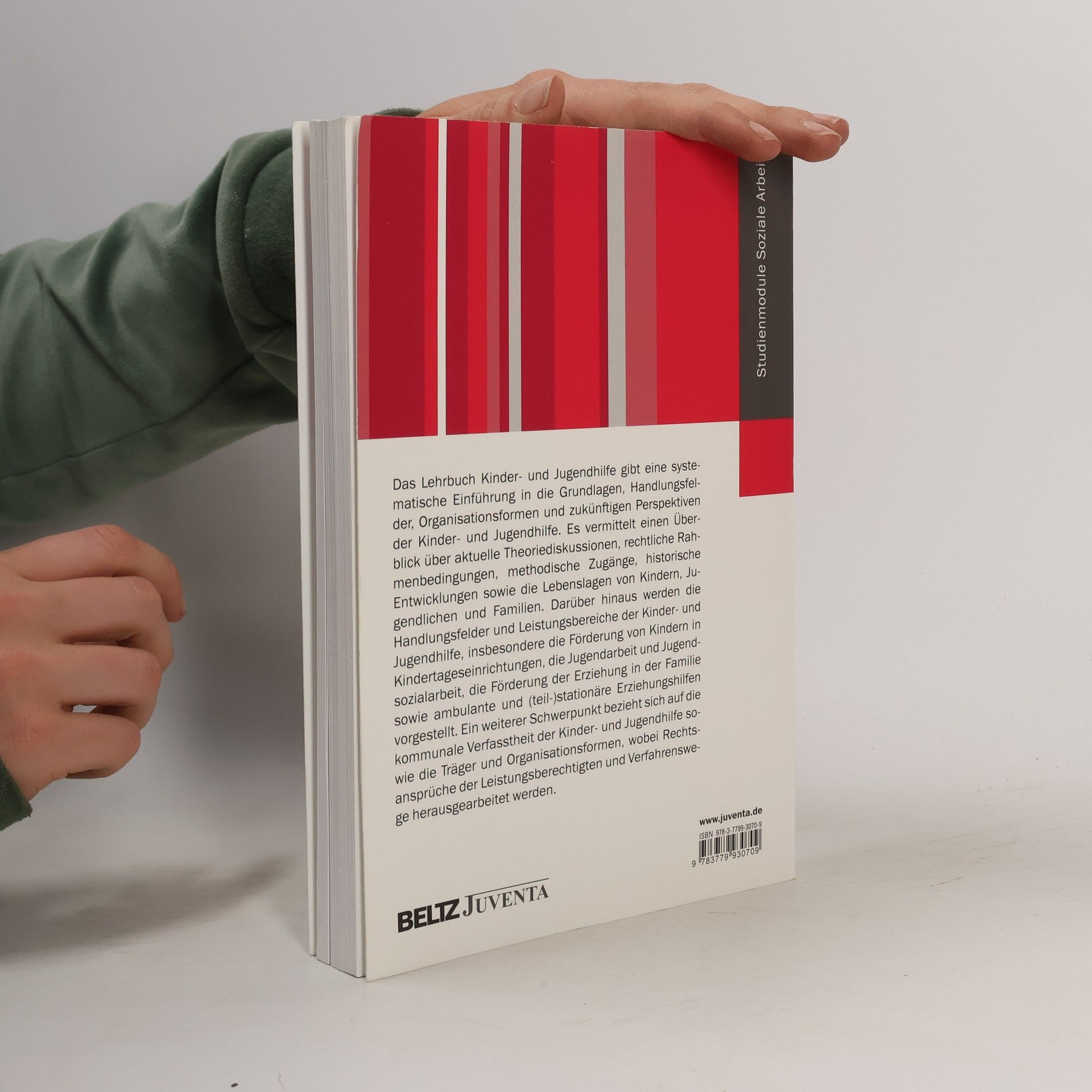 Regina Rätz Studienmodule Soziale Arbeit: Lehrbuch Kinder- und Jugendhilfe