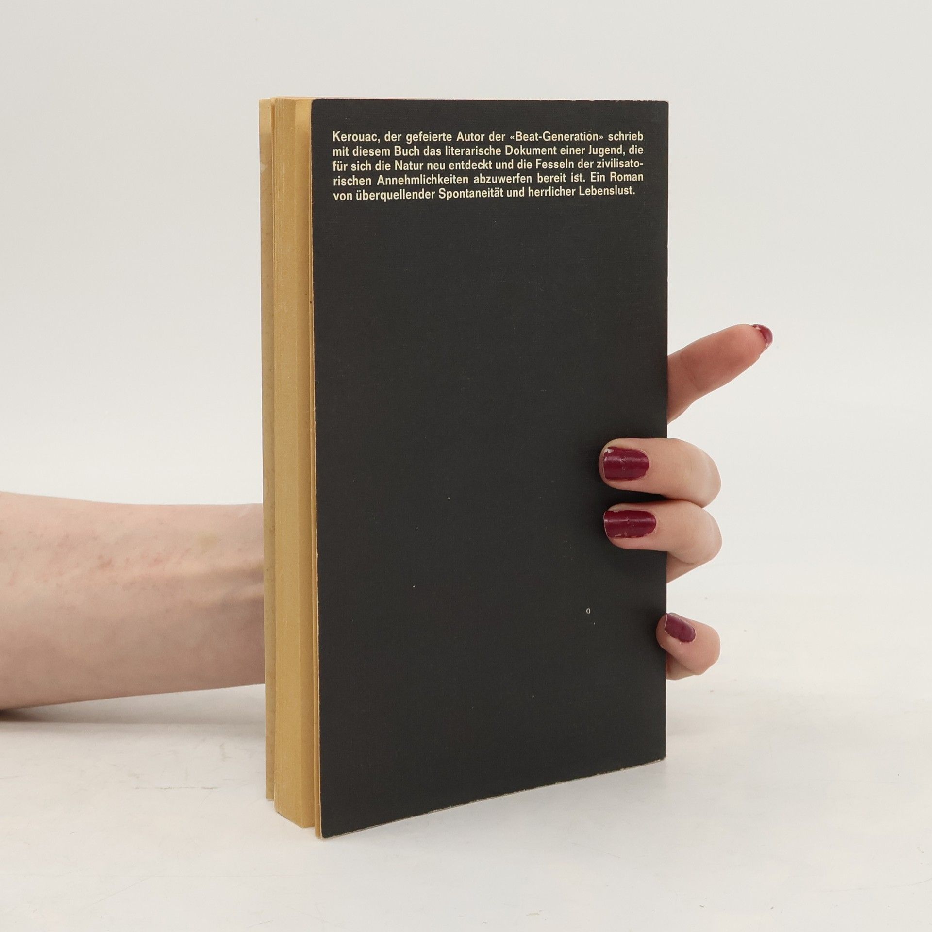 Jack Kerouac Gammler, Zen und hohe Berge