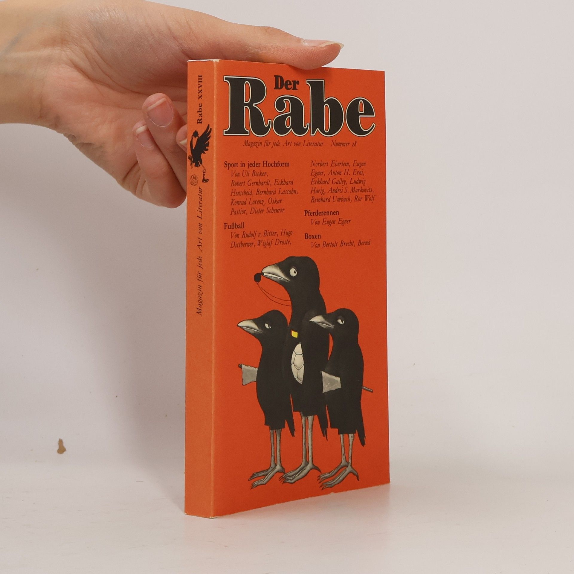 Autorenkollektiv Der Rabe: Magazin für jede Art von Literatur - Nummer 28
