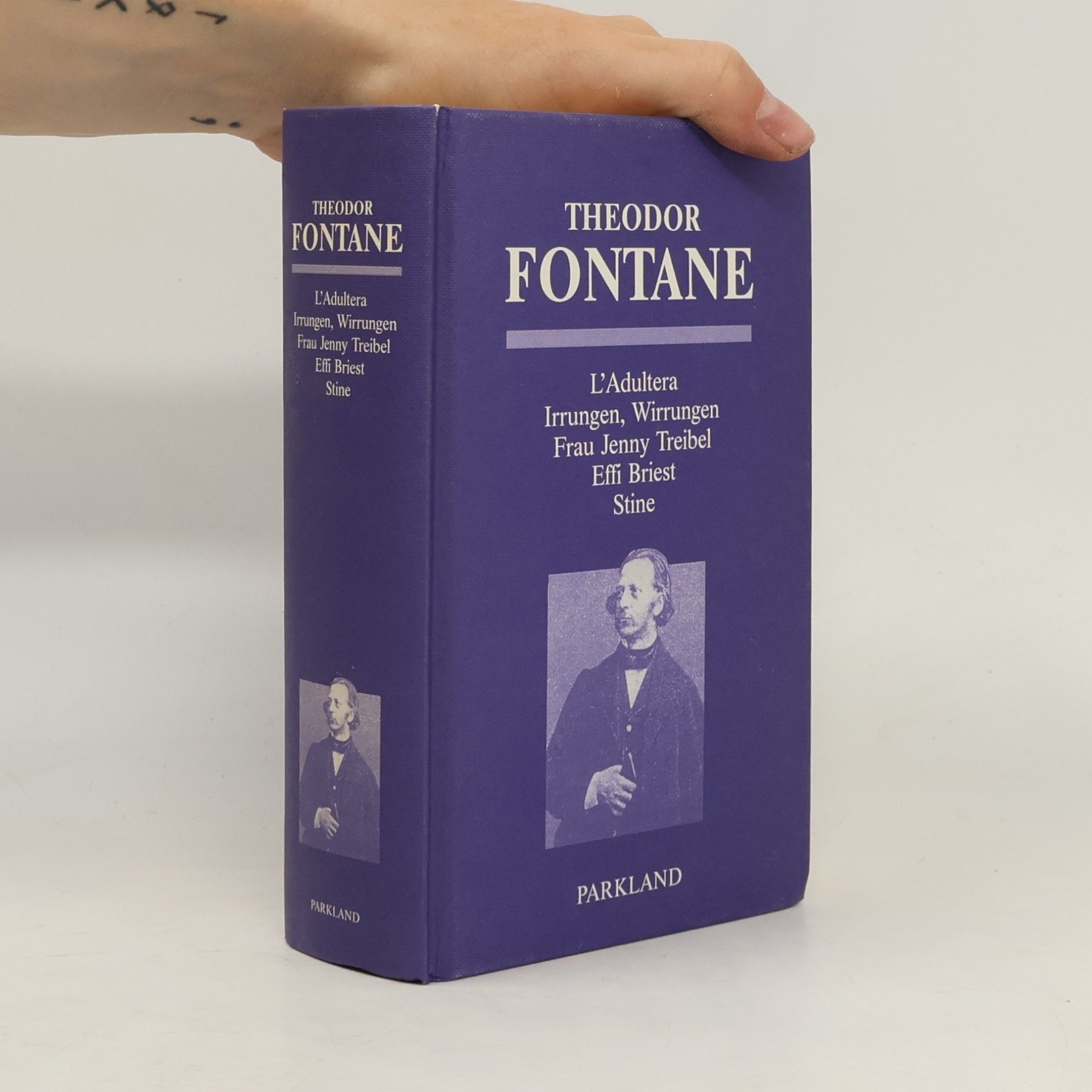 Theodor Fontane Frauenromane