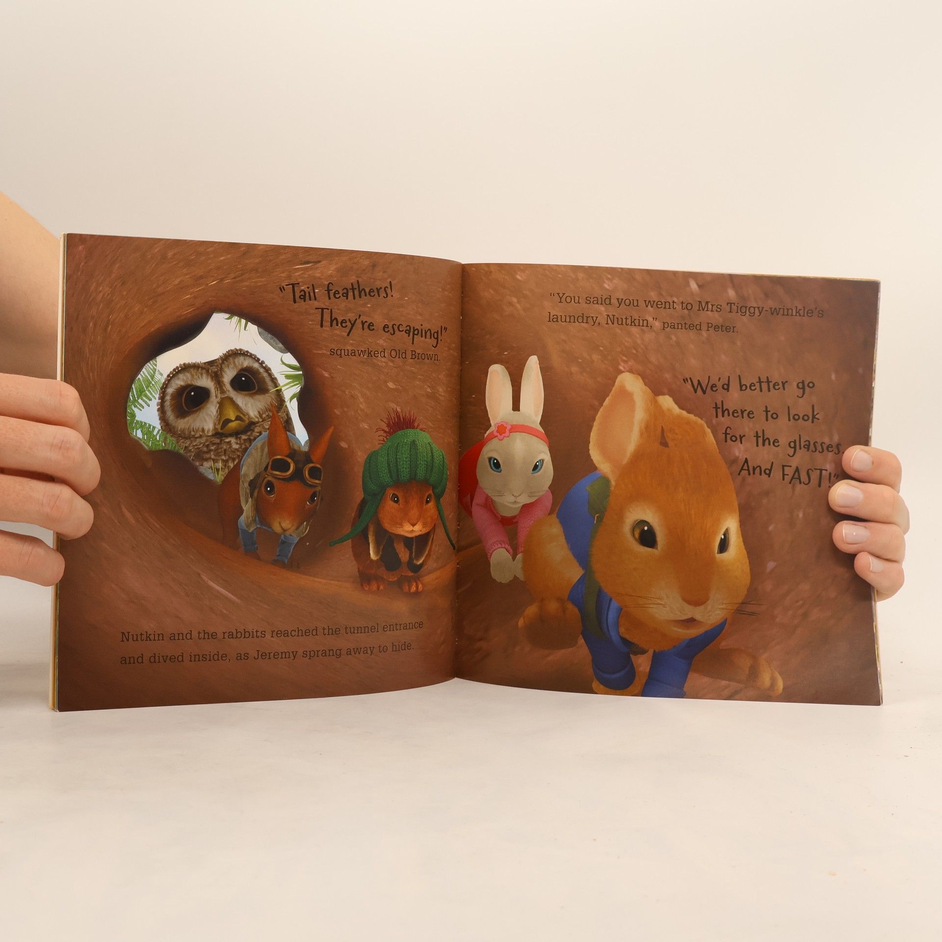 Peter Rabbit Saves the Day