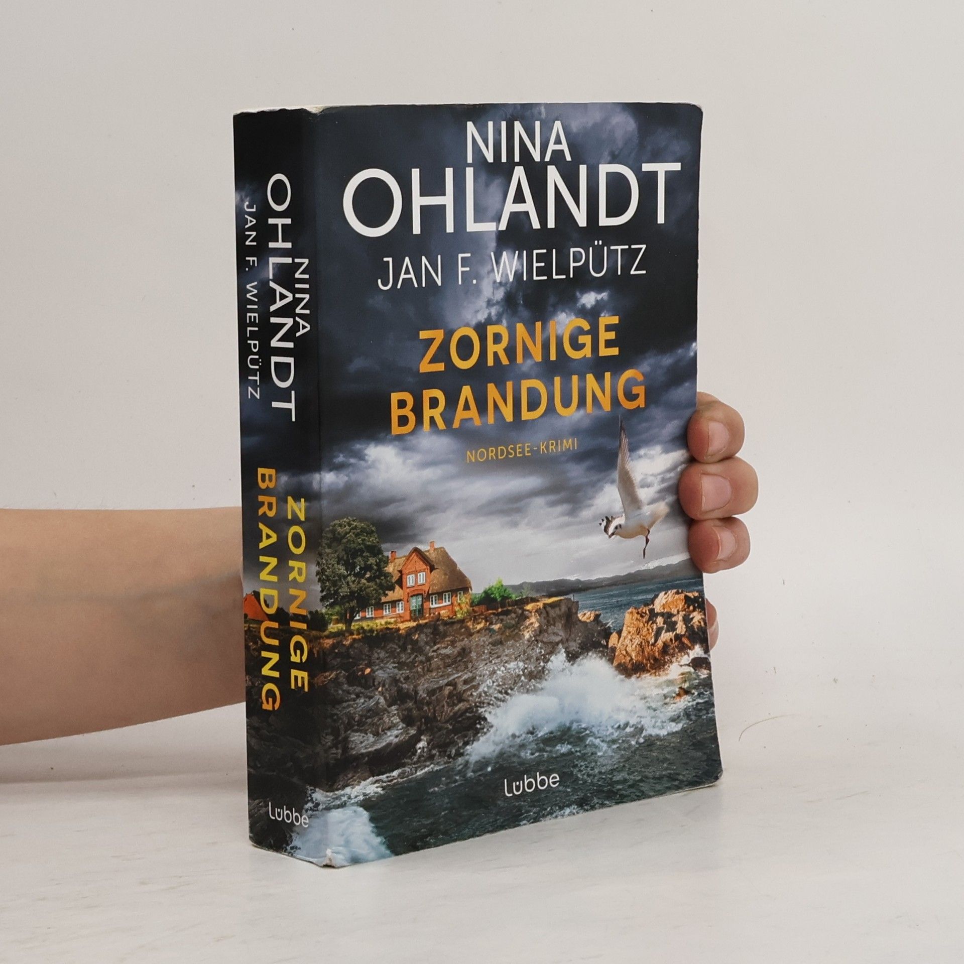 Nina Ohlandt Zornige Brandung